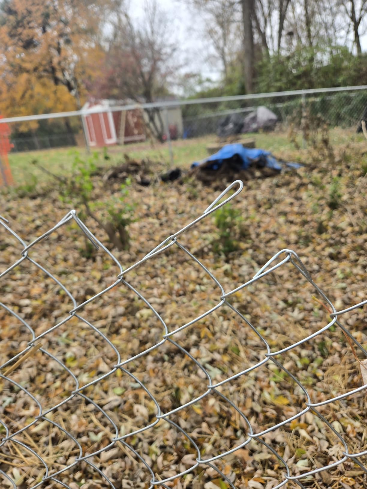 ALEKO Galvanized Steel Chain Link Fence | Complete Kit | 4 x 50 Ft | 11.5-AW Gauge | Silver | KITCLF115G4X50 - Customer Photo 2