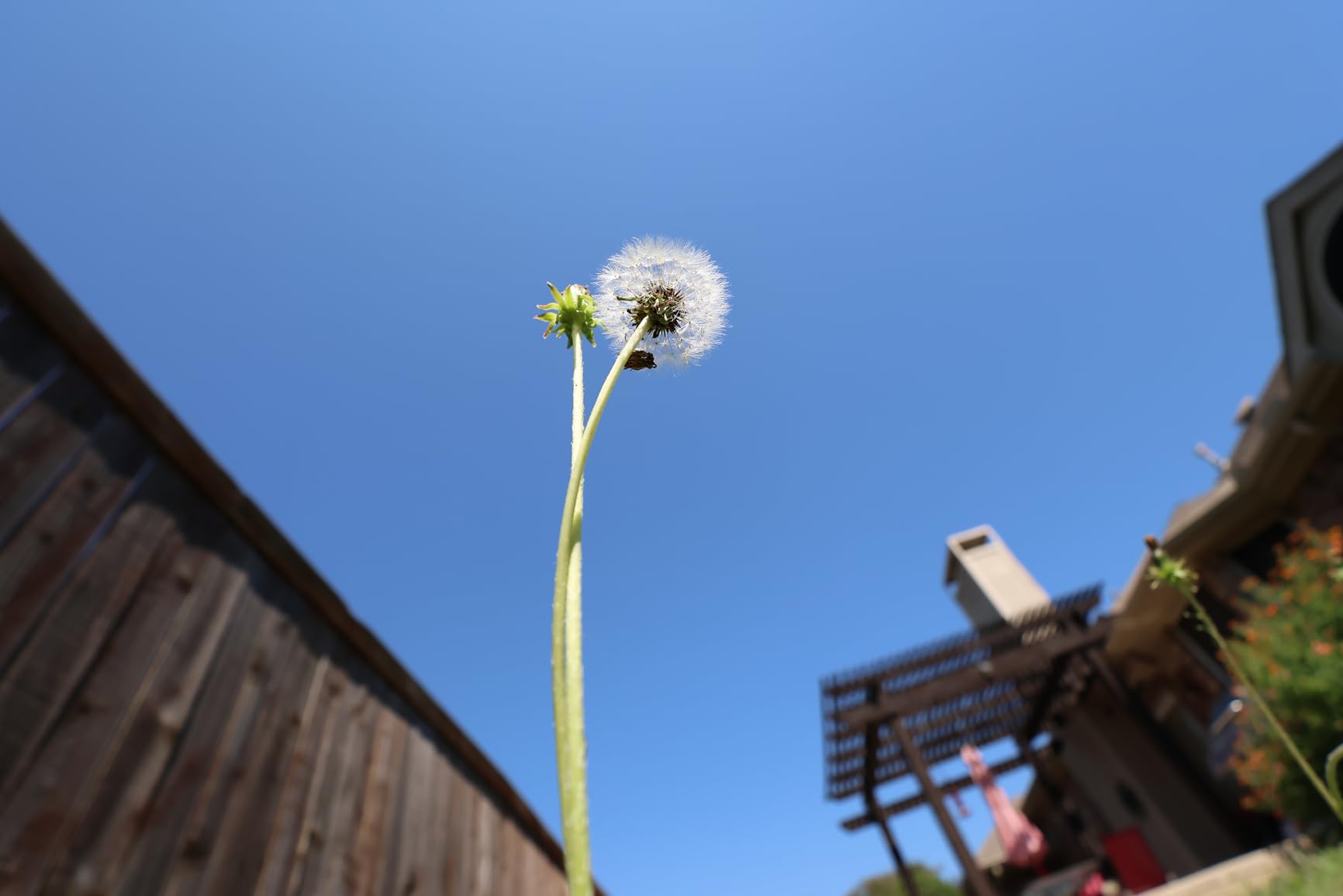 Canon RF-S10-18mm F4.5-6.3 is STM Ultra-Wide-Angle Zoom Lens, Mirrorless, 4.0 Stops of Shake Reduction - Customer Photo 1