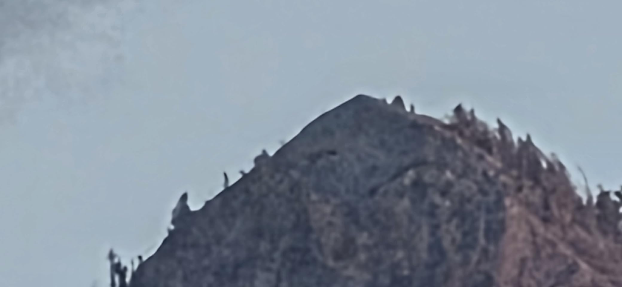 Canon RF200-800mm F6.3-9 is USM Super-telephoto Zoom Lens - Customer Photo 2