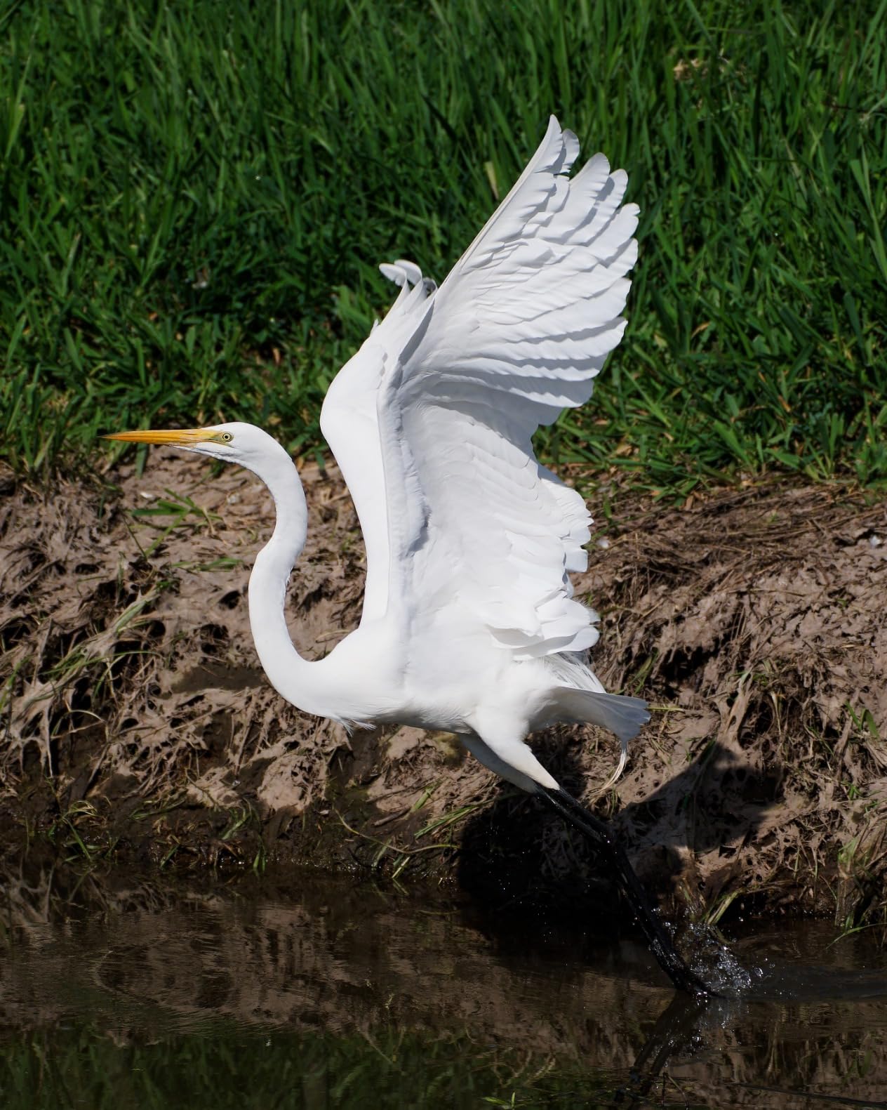 Sony Alpha 9 III Mirrorless Camera with World's First Full-Frame 24.6MP Global Shutter System and 120fps Blackout-Free Continuous Shooting Customer Review Sony Alpha 9 III Mirrorless Camera with World's First Full-Frame 24.6MP Global Shutter System and 120fps Blackout-Free Continuous Shooting - Customer Photo 4