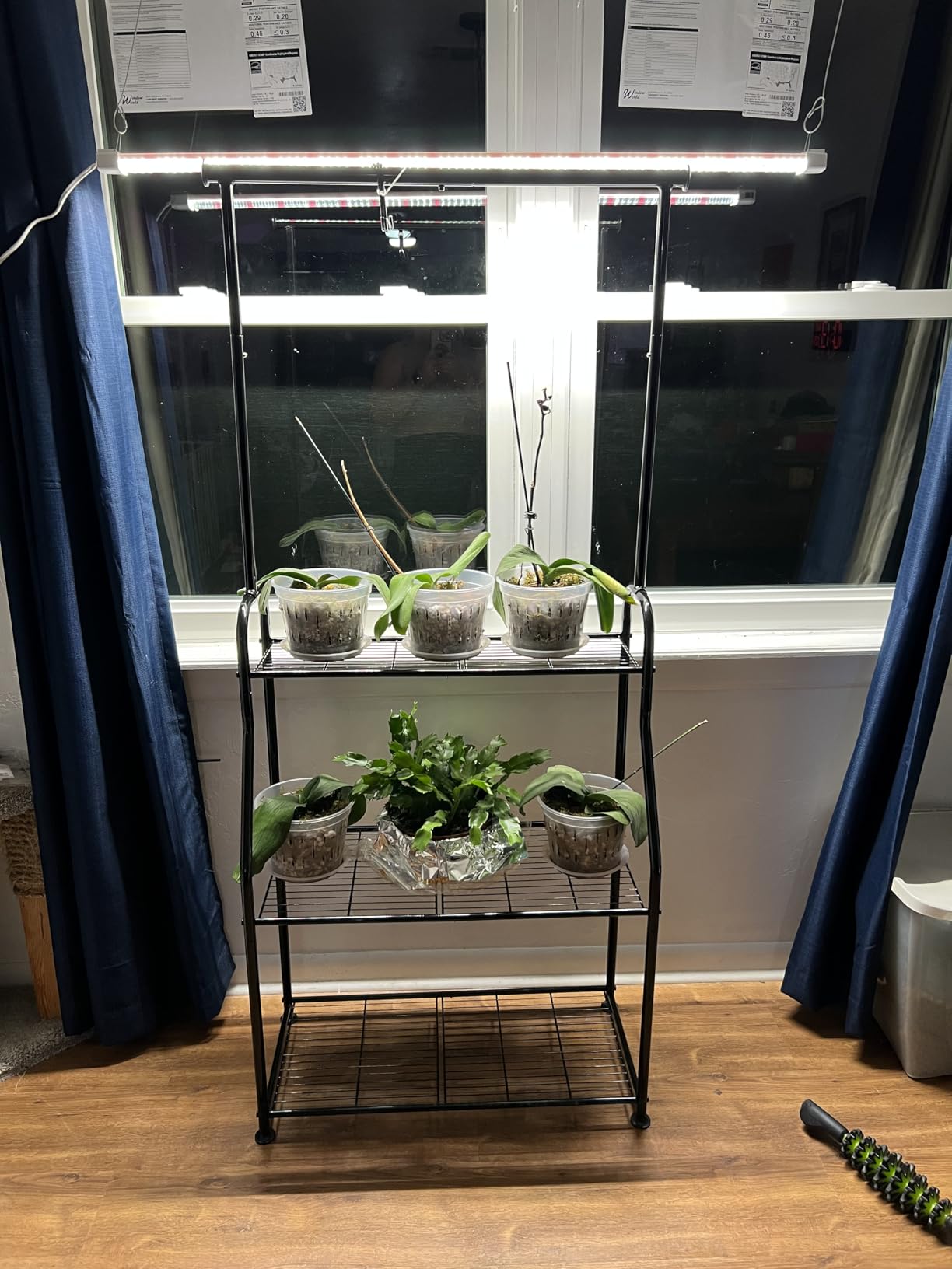 Simple Trending Plant Stand Indoor Outdoor, Heavy Duty Metal 3 Tiered Hanging Plant Shelf for Multiple Flower Planter Holder Tall Large Rack for Living Room Garden Balcony, Black - Customer Photo 1