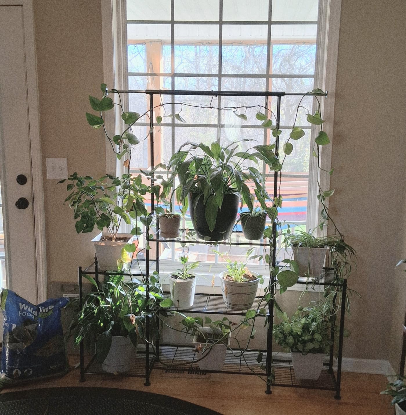 Simple Trending Plant Stand Indoor Outdoor, Heavy Duty Metal 3 Tiered Hanging Plant Shelf for Multiple Flower Planter Holder Tall Large Rack for Living Room Garden Balcony, Black - Customer Photo 2