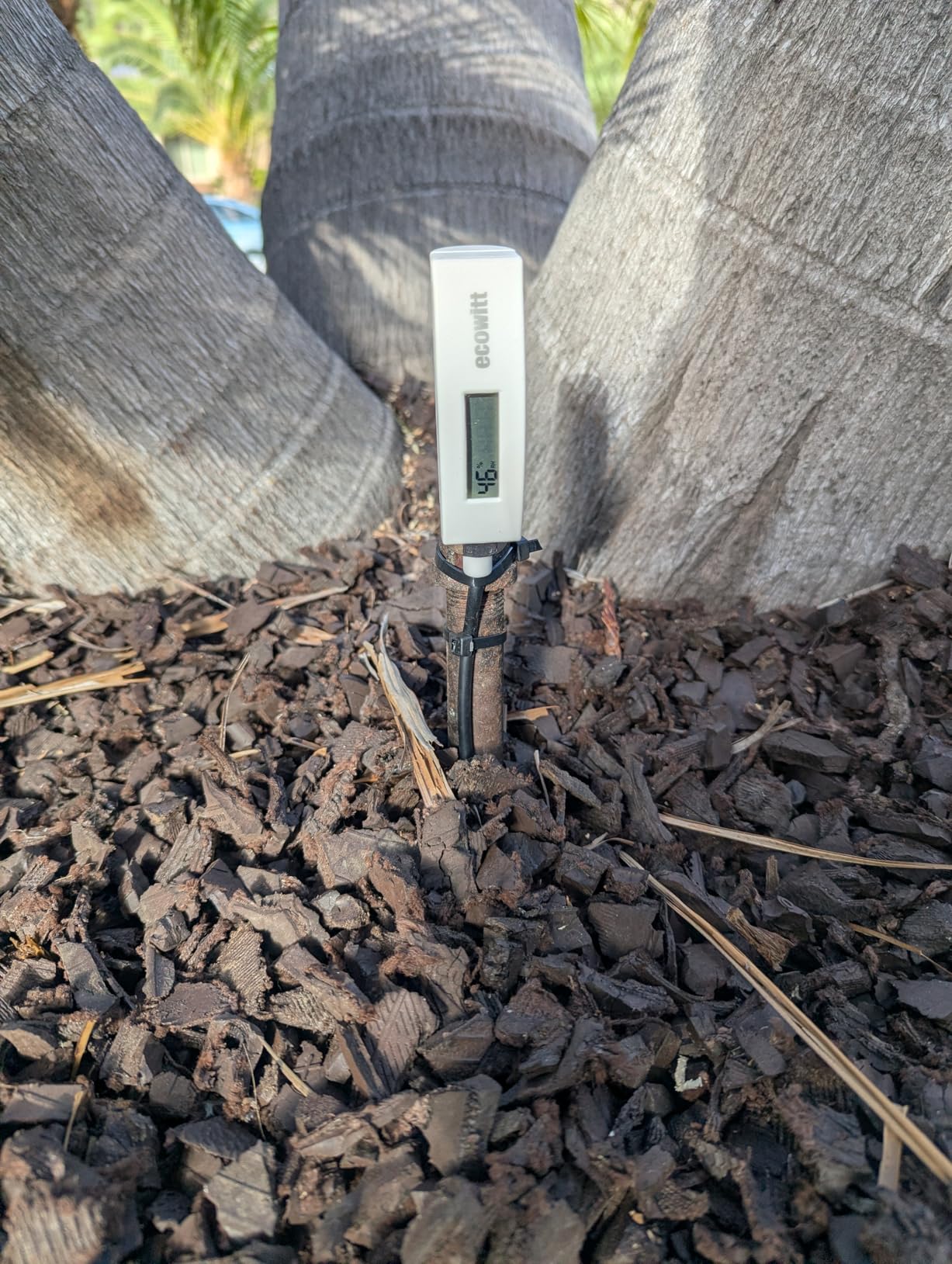 ECOWITT WH51L Soil Moisture Sensor with 1m/3.28ft PVC Wire Probe, LCD Display, Needs to Pair with Wi-Fi Gateway, 915 MHz - Customer Photo 2