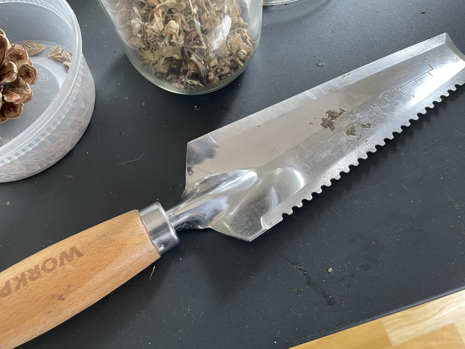 WORKPRO Garden Trowel with Wood Handle, Stainless Steel Narrow Hand Shovel, Multi- Use Flat Garden Trowel for Planting, Weeding, Transplanting, Digging, Small Weeding Knife for Gardening - Customer Photo 1