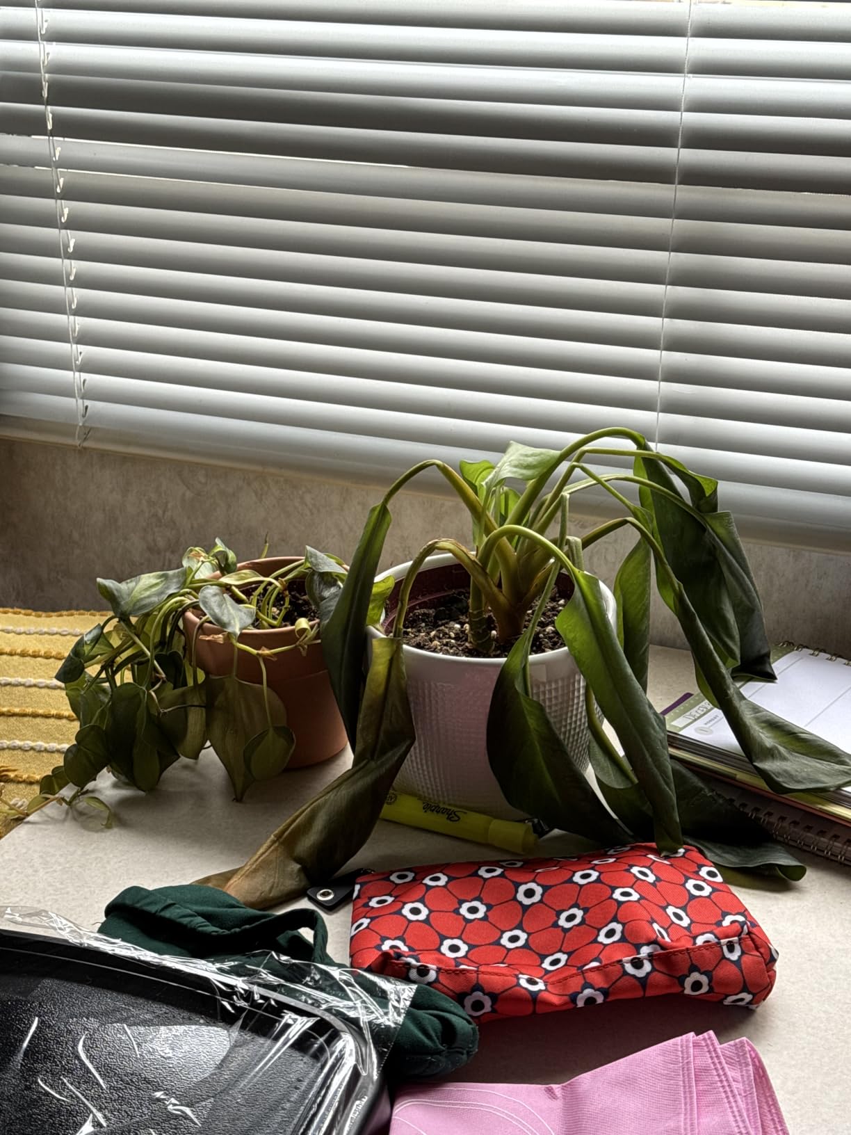 Grow Light 6500K Full Spectrum Plant Grow Lights 84 LED Plant Light with Clip Grow Lamp for Indoor Plants Growing Lamps (1PCS) - Customer Photo 1