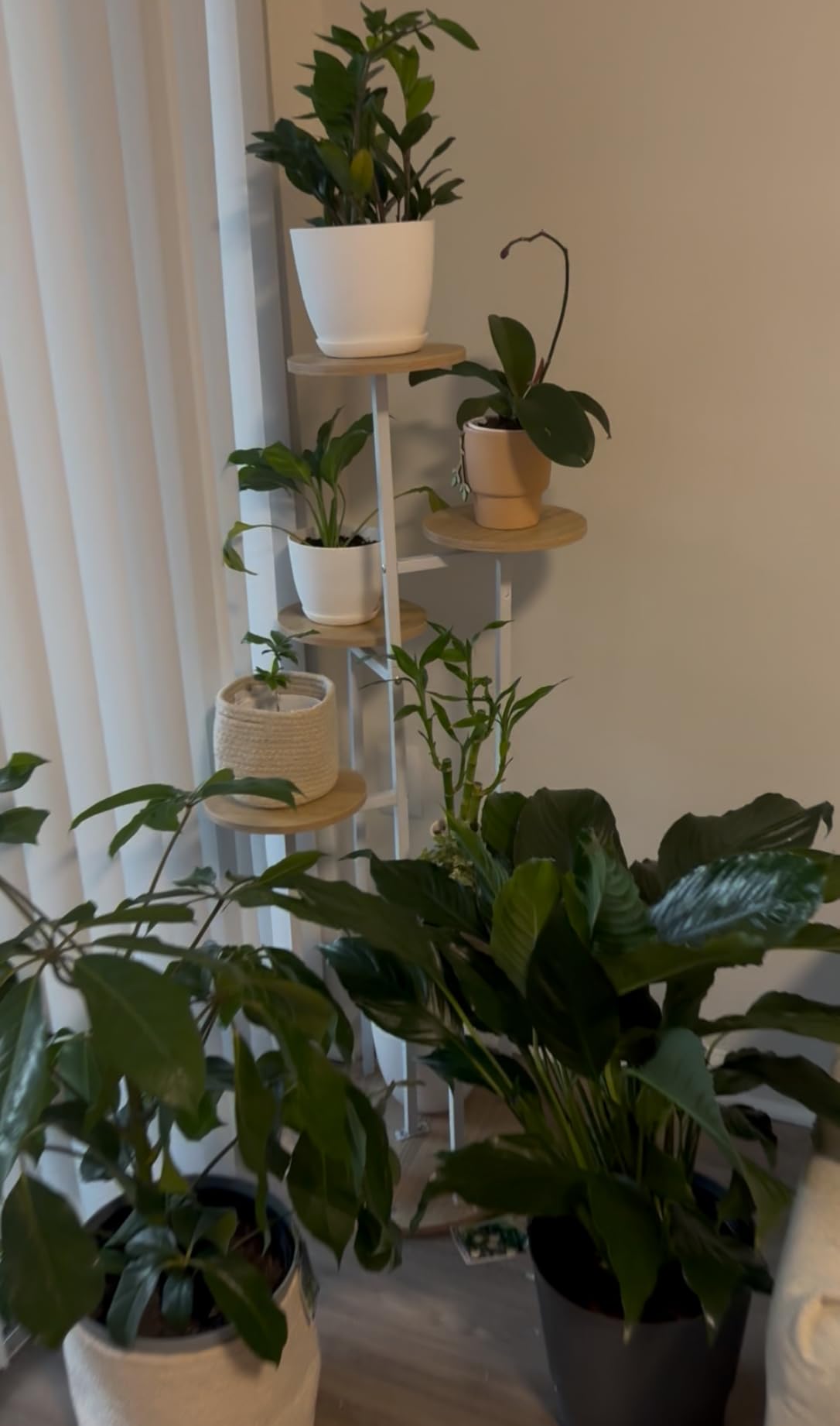 Utopia Home - Plastic Terracotta Pots with Drainage - 7/6.6/6/5.3/4.8 Inches Flower Pots for Indoor Planter - Pack of 5 Plastic Planters, Cactus, Succulents Pot - Customer Photo 1