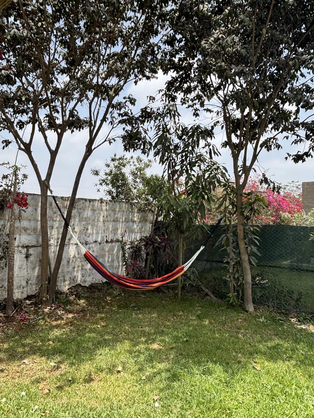 Brazilian Double Hammock with Tree Straps,Extra Large 94x63IN,2 Persons Hammock for Backyard Patio Outdoor and Indoor,450lbs Weight Capacity,Soft Woven Cotton Fabric - Blue Stripe Customer Review Brazilian Double Hammock with Tree Straps,Extra Large 94x63IN,2 Persons Hammock for Backyard Patio Outdoor and Indoor,450lbs Weight Capacity,Soft Woven Cotton Fabric - Blue Stripe - Customer Photo 1