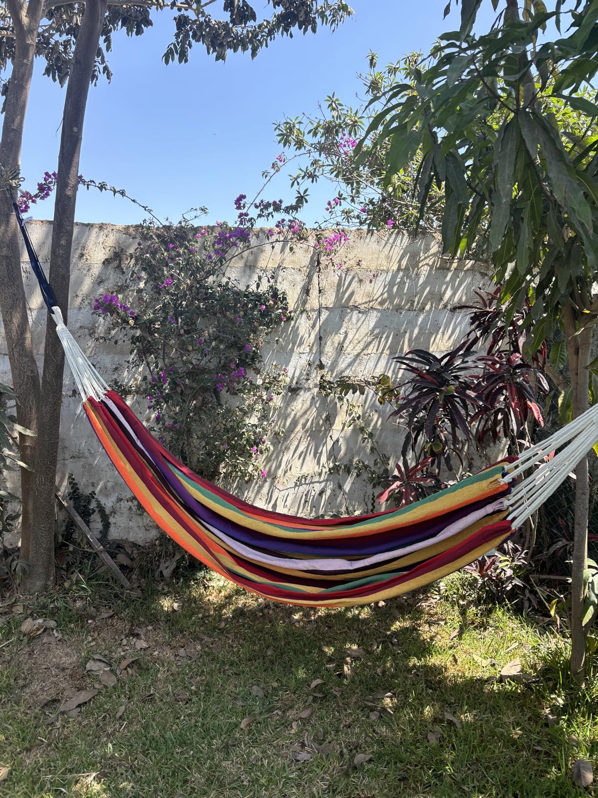 Brazilian Double Hammock with Tree Straps,Extra Large 94x63IN,2 Persons Hammock for Backyard Patio Outdoor and Indoor,450lbs Weight Capacity,Soft Woven Cotton Fabric - Blue Stripe Customer Review Brazilian Double Hammock with Tree Straps,Extra Large 94x63IN,2 Persons Hammock for Backyard Patio Outdoor and Indoor,450lbs Weight Capacity,Soft Woven Cotton Fabric - Blue Stripe - Customer Photo 2