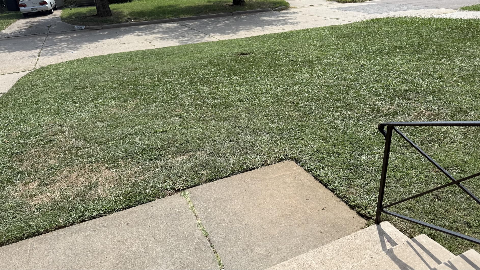 LawnMaster LMRM1602 Push Reel Lawn Mower 16-Inch 5-Blade - Customer Photo 3