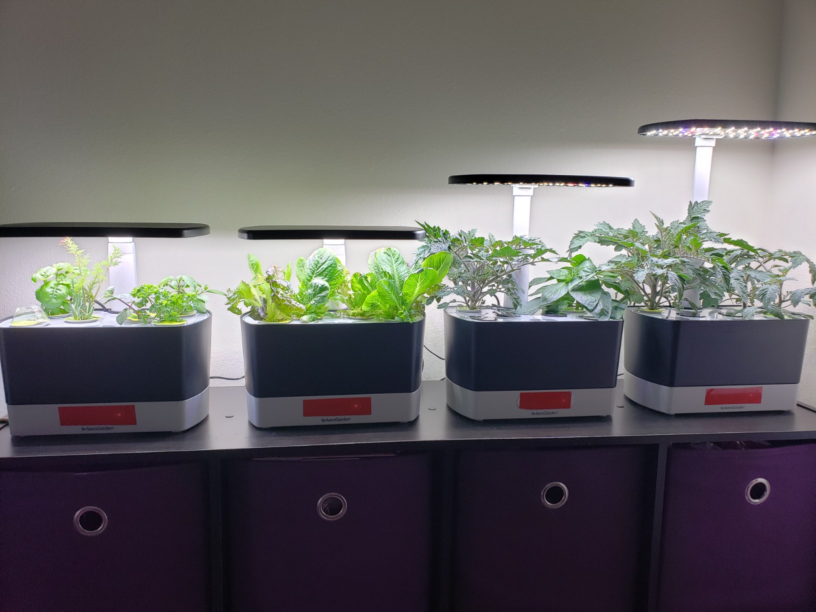 AeroGarden Harvest Lite in Black, Soil-Free Indoor Hydroponic Garden with LED Grow Light for Year-Round Gardening of up to 6 Herbs and Vegetables - Customer Photo 1