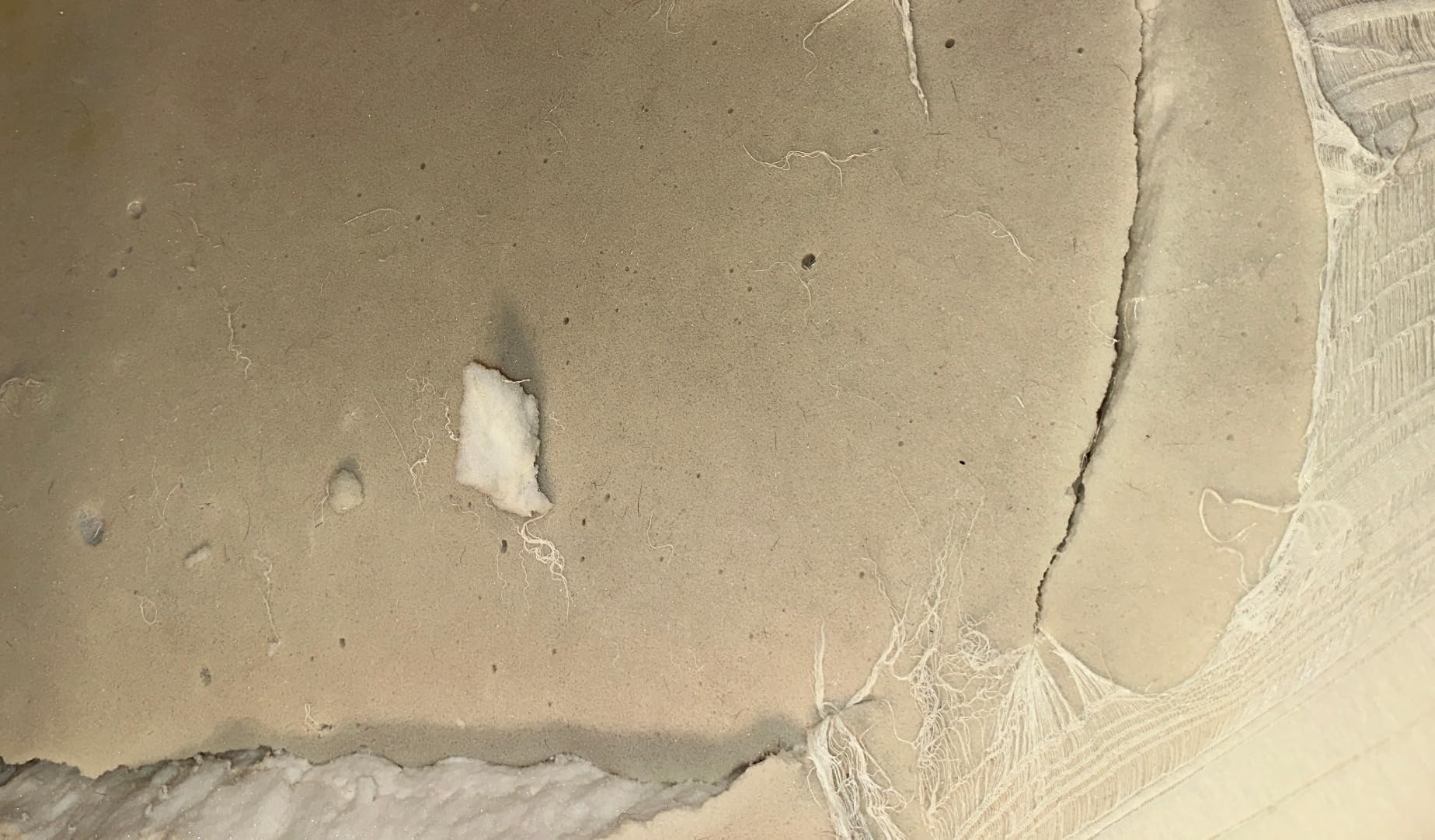 TEMPUR-Adapt 2.0 Medium 11 inch Memory Foam Mattress, Queen - Customer Photo 2