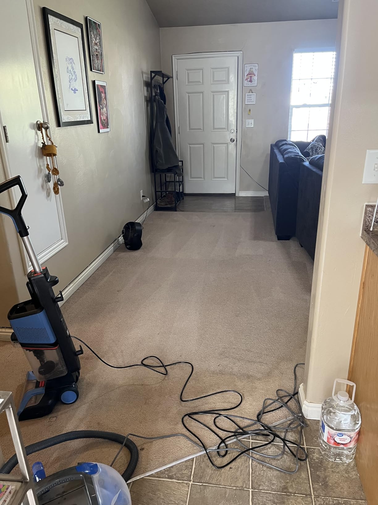 Shark CarpetXpert Upright Carpet & Area Rug Cleaner, Perfect for Pets, Lightweight & Powerful, Dirt, Grime, & Odor Removal, Carpet Shampooer, Cleaning Solution, Blue, EX121BRN Customer Review Shark CarpetXpert Upright Carpet & Area Rug Cleaner, Perfect for Pets, Lightweight & Powerful, Dirt, Grime, & Odor Removal, Carpet Shampooer, Cleaning Solution, Blue, EX121BRN - Customer Photo 2