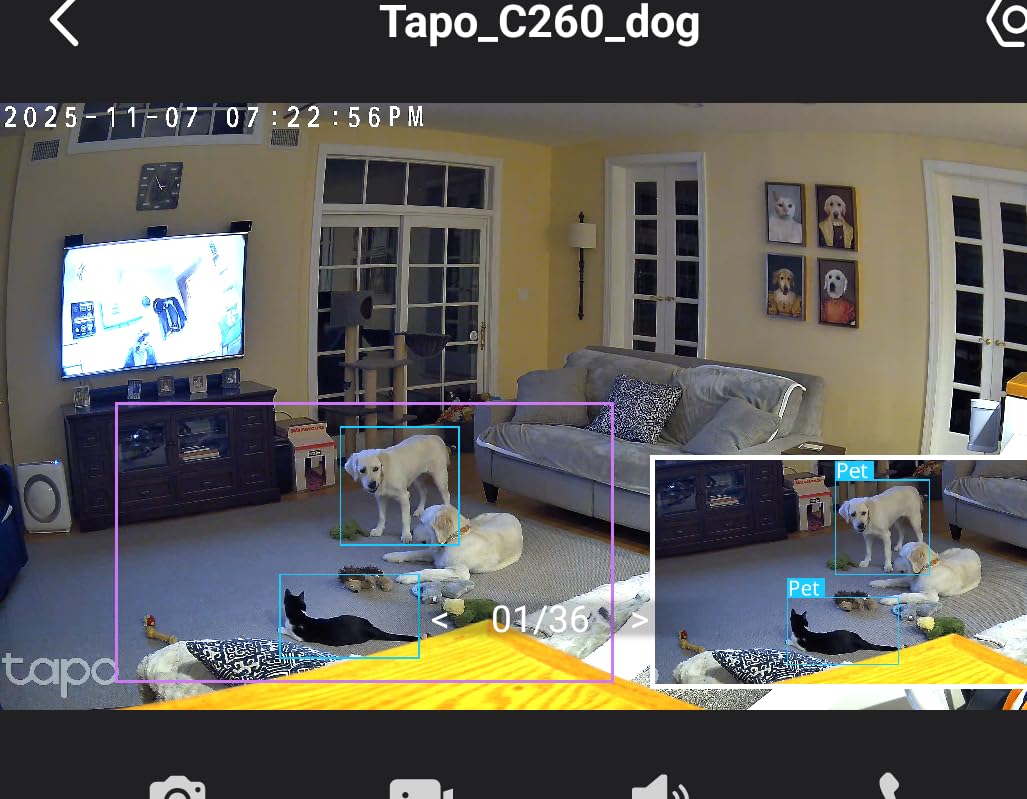 TP-Link Tapo 2K QHD Pan/Tilt Security Camera for Pet Camera, Baby Monitor, Motion Detection, Motion Tracking, 2-Way Audio, Night Vision, Cloud &SD Card Storage, Works w/Alexa & Google Home(Tapo C220) Customer Review TP-Link Tapo 2K QHD Pan/Tilt Security Camera for Pet Camera, Baby Monitor, Motion Detection, Motion Tracking, 2-Way Audio, Night Vision, Cloud &SD Card Storage, Works w/Alexa & Google Home(Tapo C220) - Customer Photo 2
