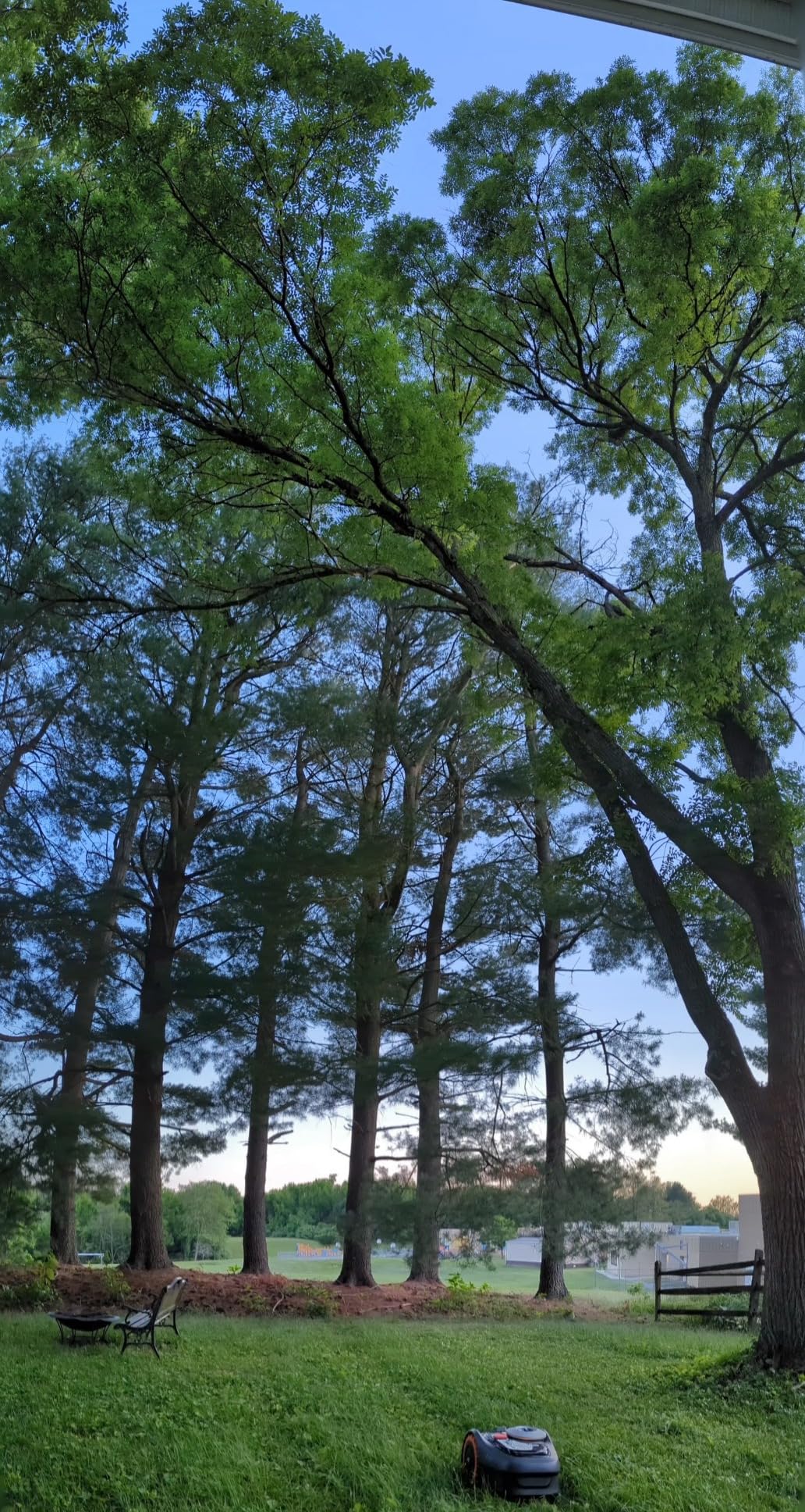 Segway Navimow i105N Robot Lawn Mower Perimeter Wire Free 1/8 Acre RTK+Vision Robotic Lawnmower, AI-Assisted Mapping, Virtual Boundary, APP Control, 58dB(A) Quiet, Multi-Zone Management - Customer Photo 1