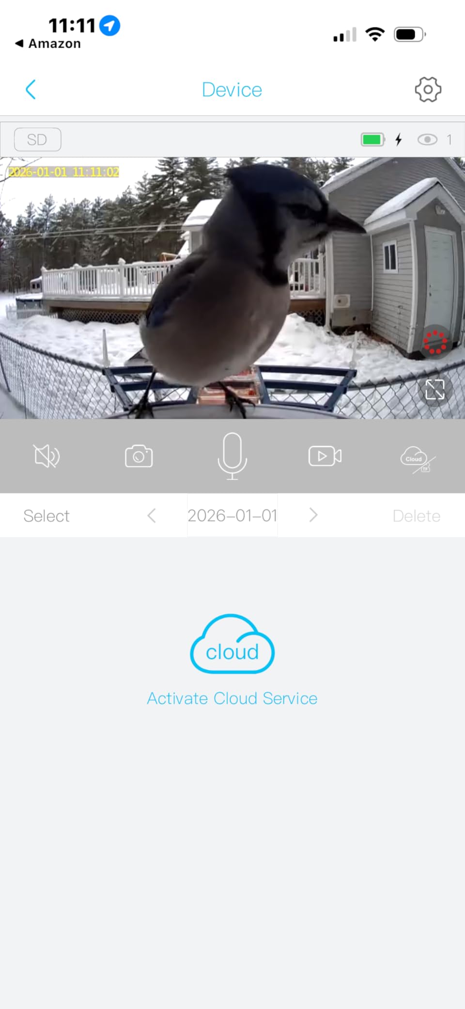 Bird Feeder with Camera,AI Identify Birds Species,Smart Bird Camera with Solar Powered,Auto Record FHD Birds Video in Backyard,Instant Notifications,Ideal Gift for Family and Bird Lovers,Navy Blue - Customer Photo 2