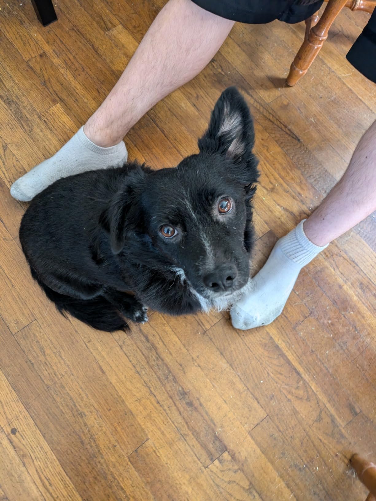 Google Pixel 8a - Unlocked Android Phone with Google AI, Advanced Pixel Camera and 24-Hour Battery - Obsidian - 128 GB - Customer Photo 2