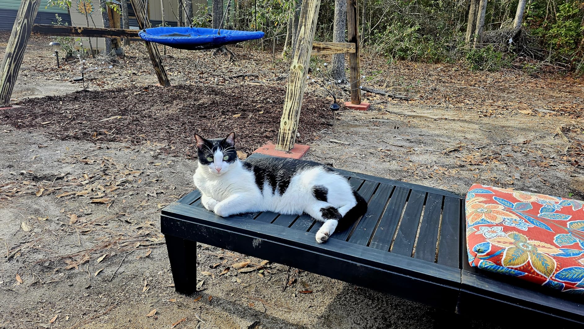 Nestl Patio Chairs - Grey Chaise Lounge Chair Outdoor, 5-Position Adjustable Sun Tanning Chair, Waterproof Pool Lounge Chairs Set of 2, Reclining Lawn Chair, Lightweight Outdoor Lounge Chairs - Customer Photo 2