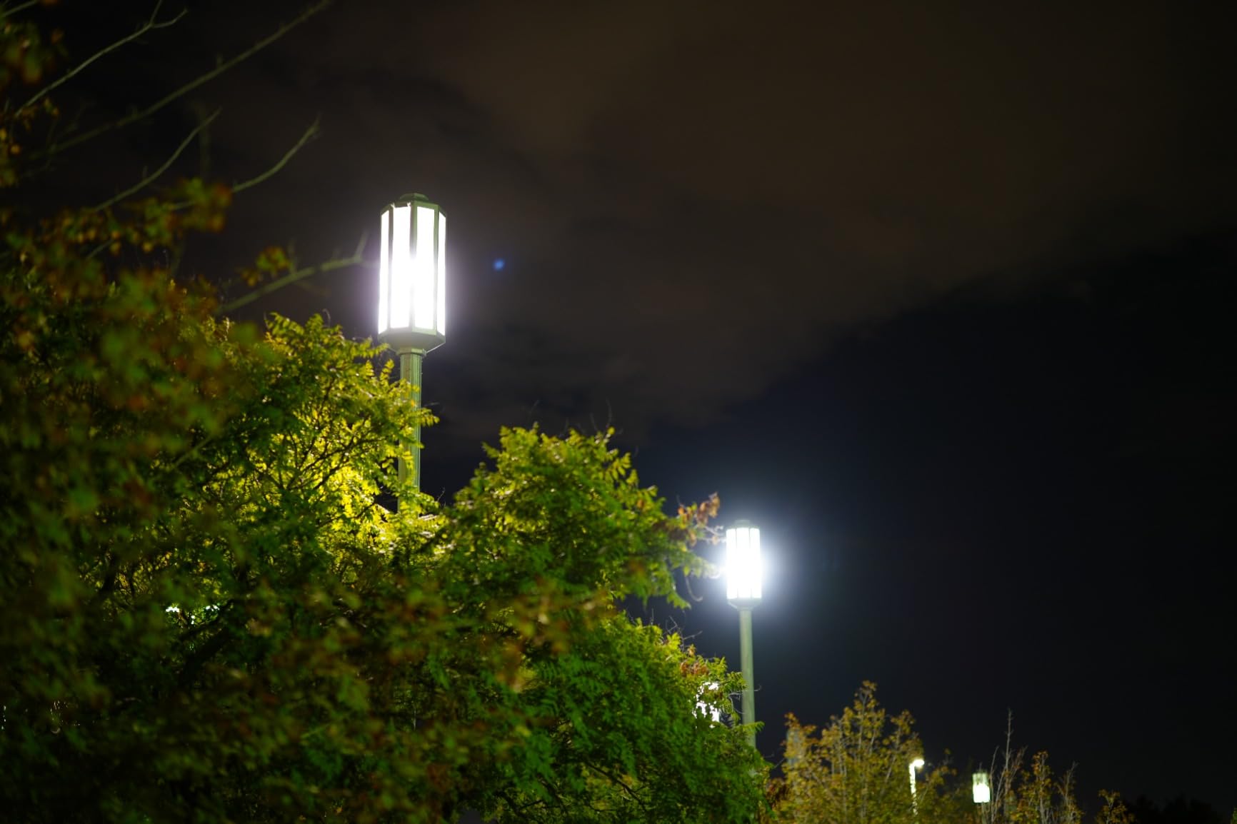 Sigma 50mm f/1.2 DG DN Art Lens for Sony E - Customer Photo 1