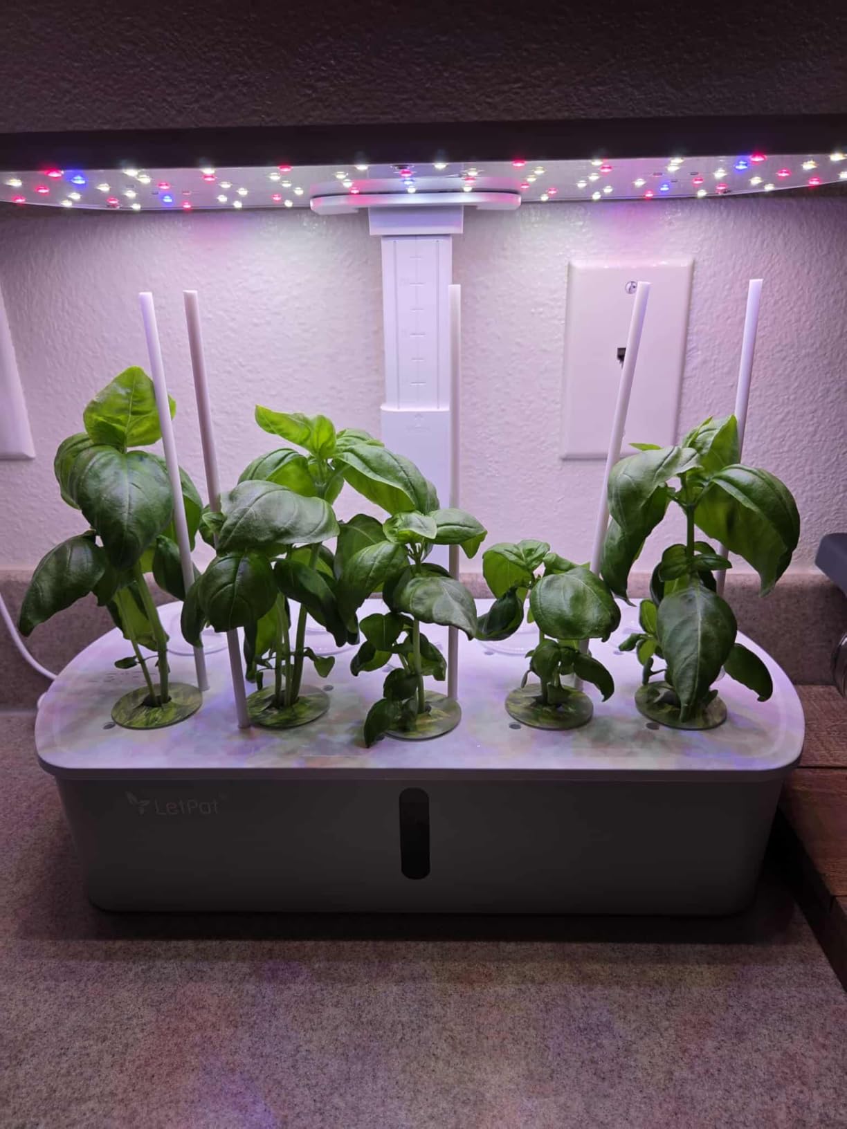 LetPot LPH-Air Hydroponics Growing System Kits, APP & WiFi Controlled Smart Indoor Garden with Adjustable 24W Grow Light Full Spectrum, 10 Pods Planter Indoor Gardening for Gifts, Kitchen, Vegetable - Customer Photo 1