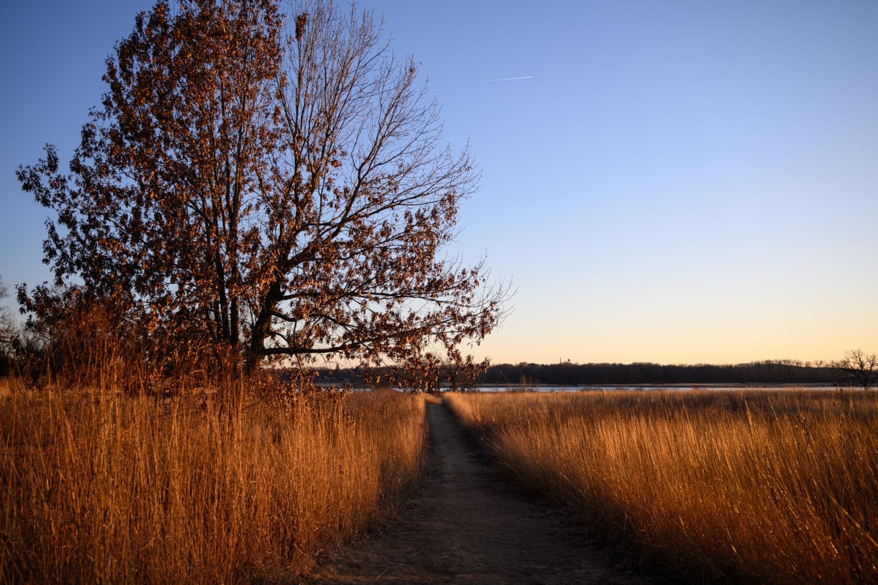 Tamron 28-75mm F/2.8 Di III VXD G2 for Nikon Z Mount Mirrorless Cameras (6 Year Limited USA Warranty) - Customer Photo 2