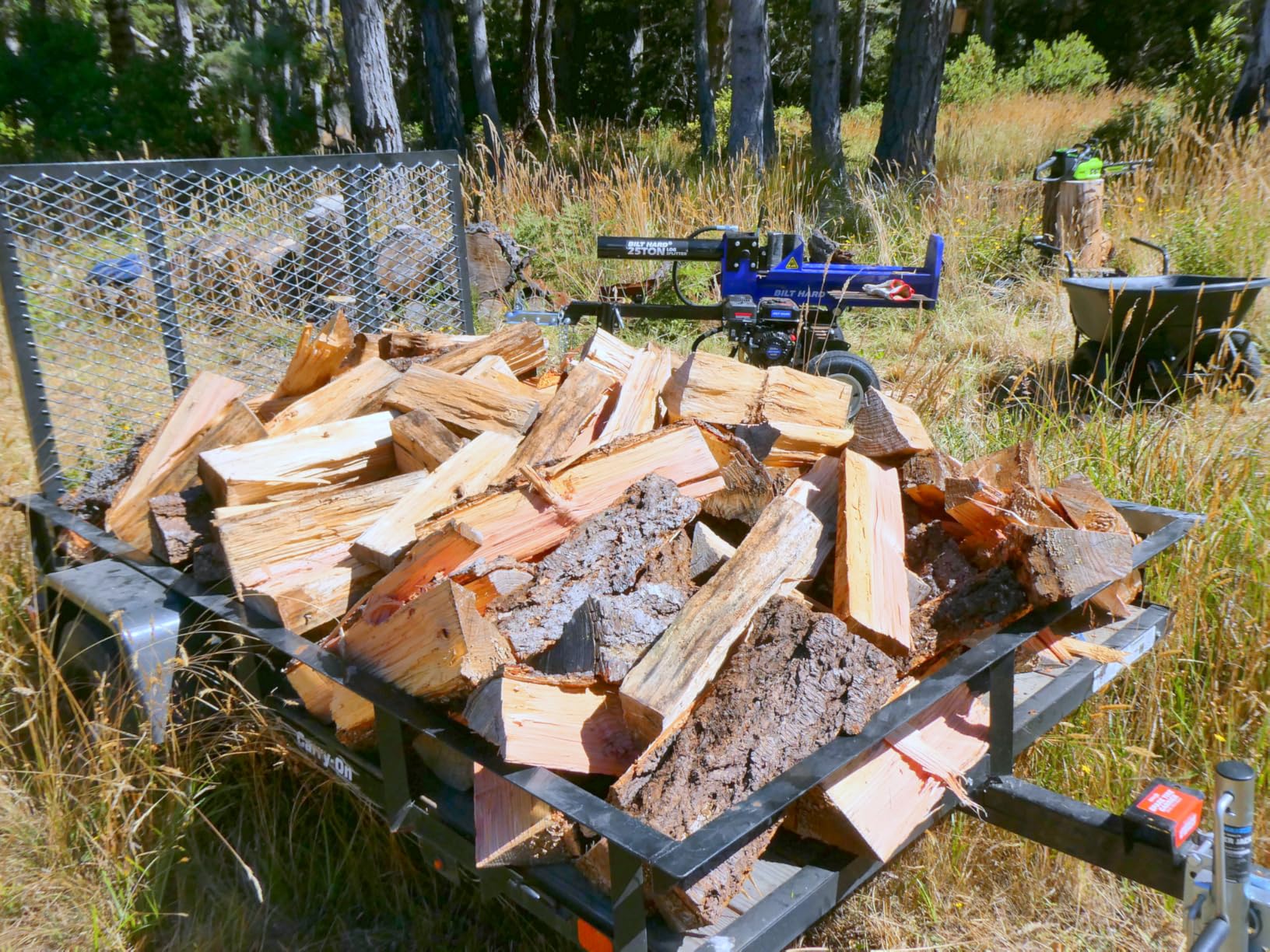 BILT HARD 25-Ton Horizontal/Vertical Log Splitter, Gas Wood Splitter with 209cc OHV Engine, 2