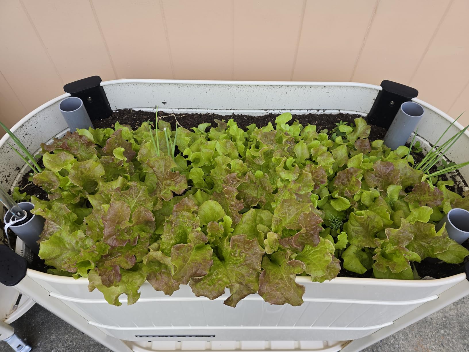 Permasteel Raised Garden Bed with Legs, Planter Box with EnGrow TrueSoil Technology for Vegetables, Flowers, Herbs, and Fruit, Outdoor Indoor, Storage Shelf, Caster Wheels, Ivory - Customer Photo 1