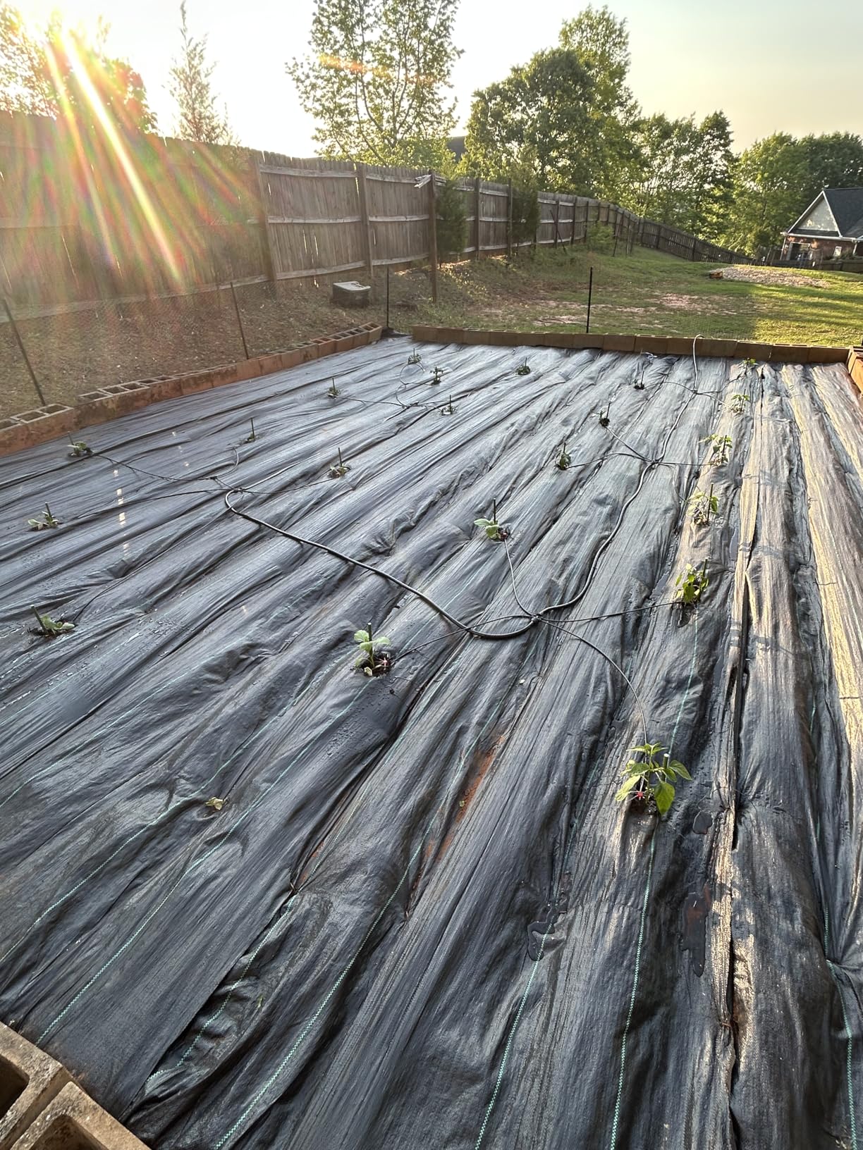 240FT Drip Irrigation System Kit New Quick-Connect, Automatic Garden Watering Misting System for Greenhouse, Yard, Lawn, Plant with 1/2 inch Hose 1/4 inch Distribution Tubing and Accessories - Customer Photo 2