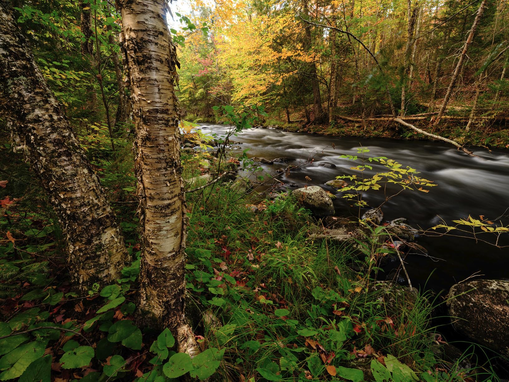 Fujifilm GFX100S II Body Mirrorless Medium Format Camera - Customer Photo 1