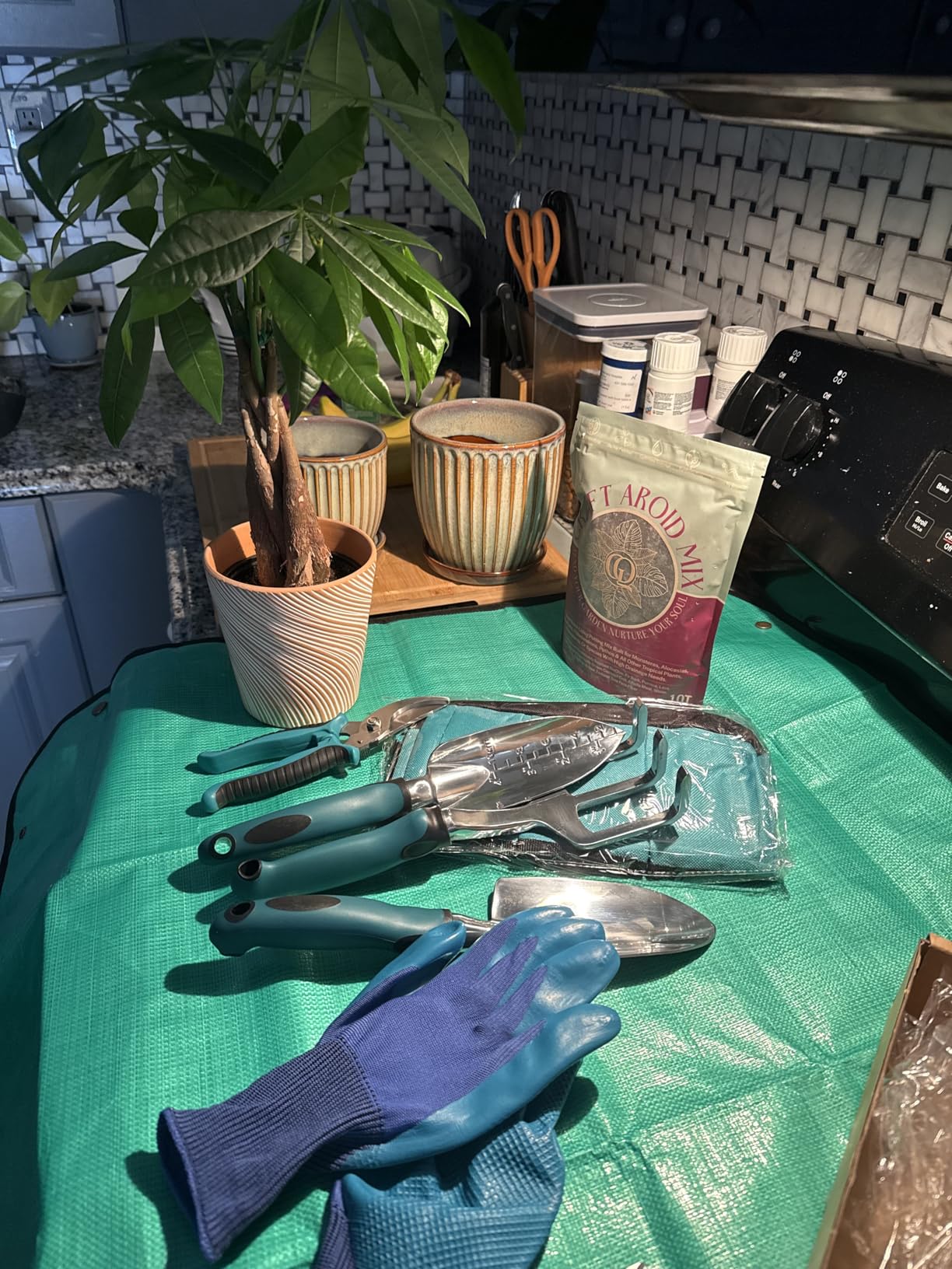 Kynup Garden Tools, 7 Piece Gardening Gift for Women&Men, Gardening Hand Tools Set, Ideal Gardening Supplies, Essentials, Garden Stuff, Rust-Proof, Stainless Steel, Aluminum Alloy Material - Customer Photo 2