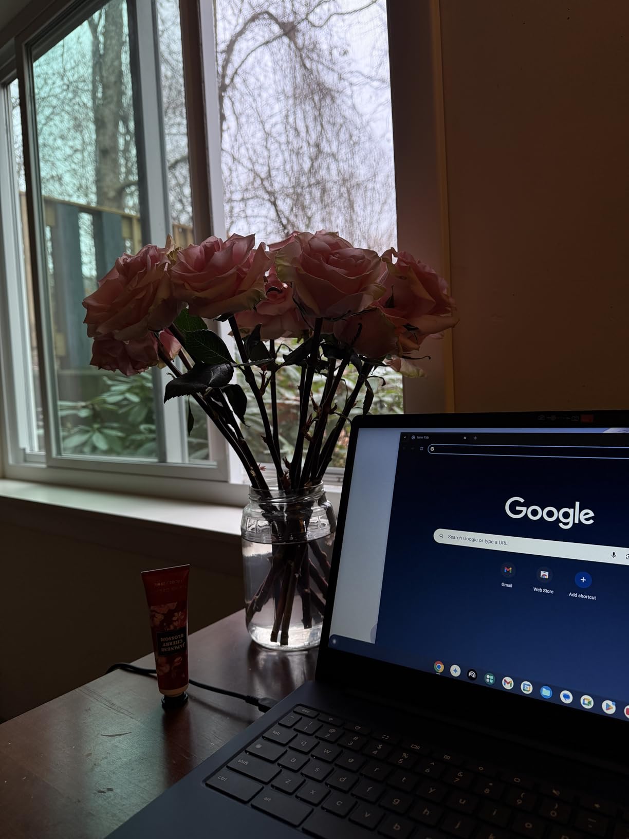 Lenovo IdeaPad Slim 3 Chromebook 2024 - Lightweight Laptop, 14 inch HD Display, 4GB RAM, 64GB Storage, MediaTek Kompanio 520 Customer Review Lenovo IdeaPad Slim 3 Chromebook 2024 - Lightweight Laptop, 14 inch HD Display, 4GB RAM, 64GB Storage, MediaTek Kompanio 520 - Customer Photo 2