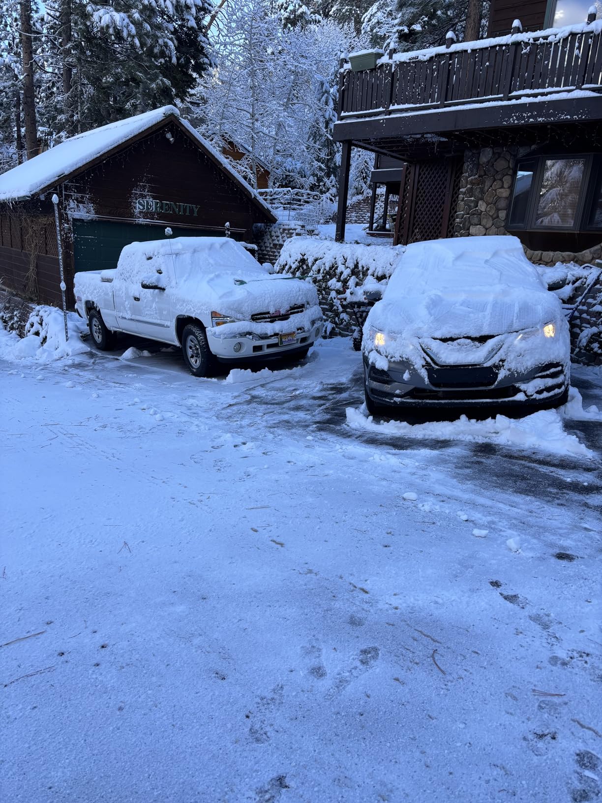 SENIX 2X2 40V Max Cordless Snow Blower with Variable-Speed Steel Auger, 21