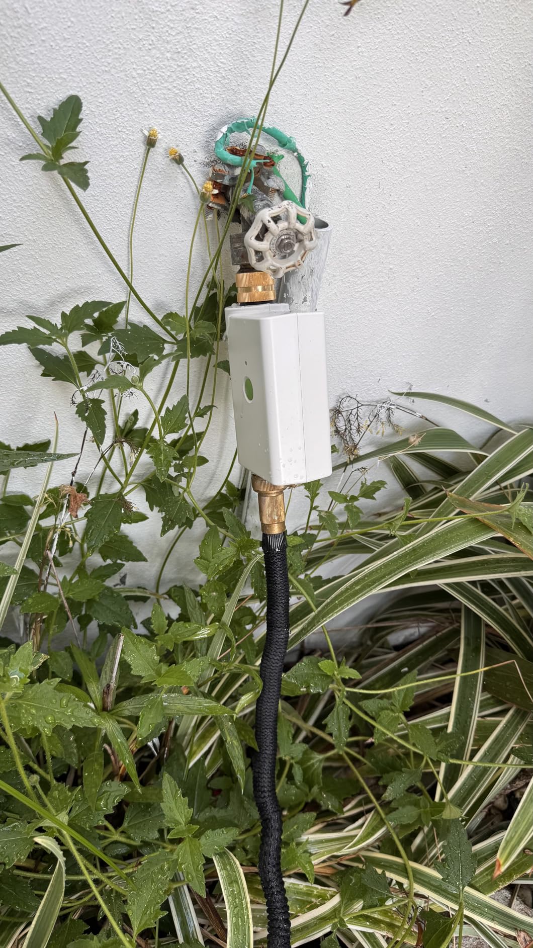 meross WiFi Water Hose Timer, Smart Sprinkler Timer with Brass Inlet & Outet, Work with Apple Homekit, Alexa & Google Assistant, Water Valve for Lawn, Garden, Yard and Pool, WiFi Hub Required Customer Review meross WiFi Water Hose Timer, Smart Sprinkler Timer with Brass Inlet & Outet, Work with Apple Homekit, Alexa & Google Assistant, Water Valve for Lawn, Garden, Yard and Pool, WiFi Hub Required - Customer Photo 2