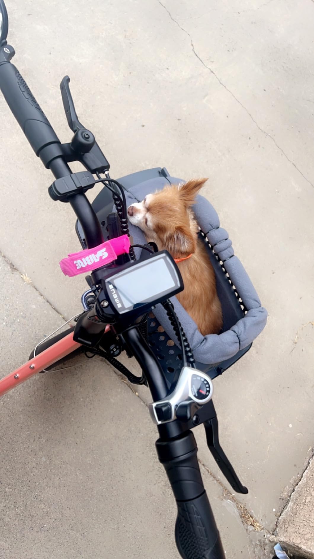 ENGWE 1125W Electric Bike for Adults, L20 2.0 20''×3.0