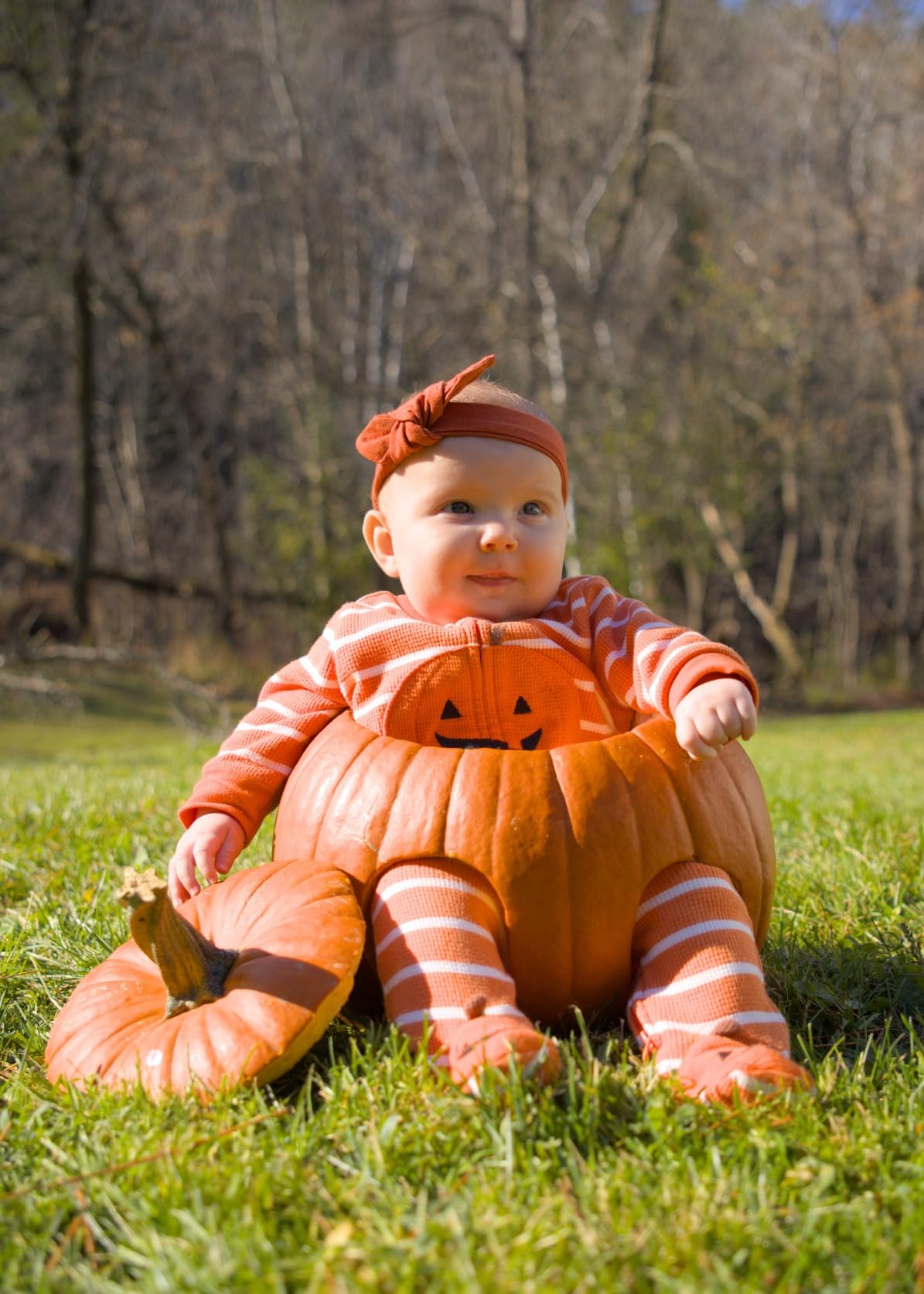 Sigma 18-50mm F2.8 DC DN Contemporary Lens for Canon RF - Customer Photo 1