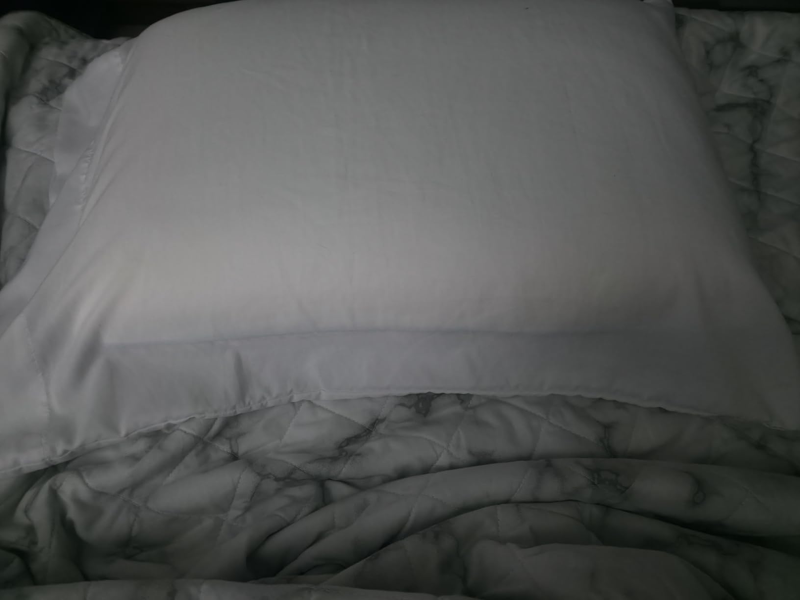 Sealy Dreamlife Queen Size Memory Foam Cooling Pillow with Surface Guard Technology, Removable Machine-Washable Cover, 1 Year Limited Warranty, White (2 Pack) - Customer Photo 1