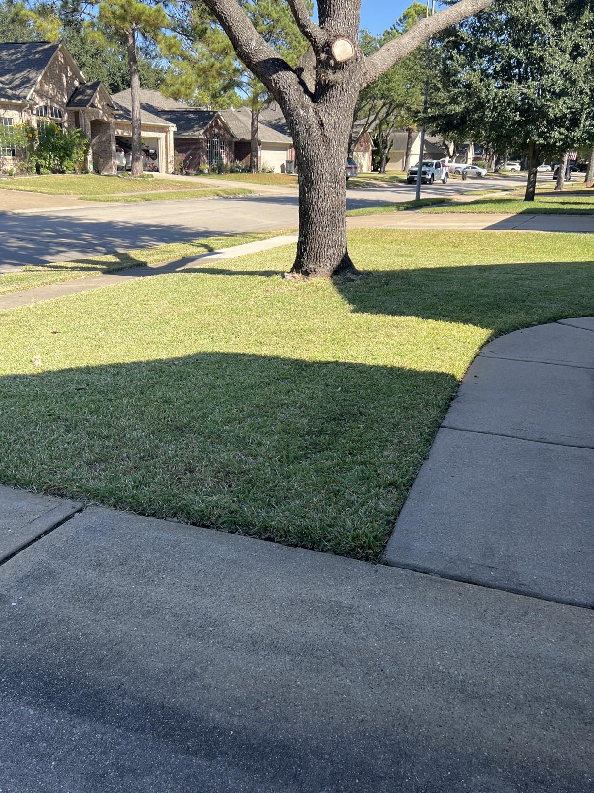 SKIL PWR CORE 40 Brushless 40V 20