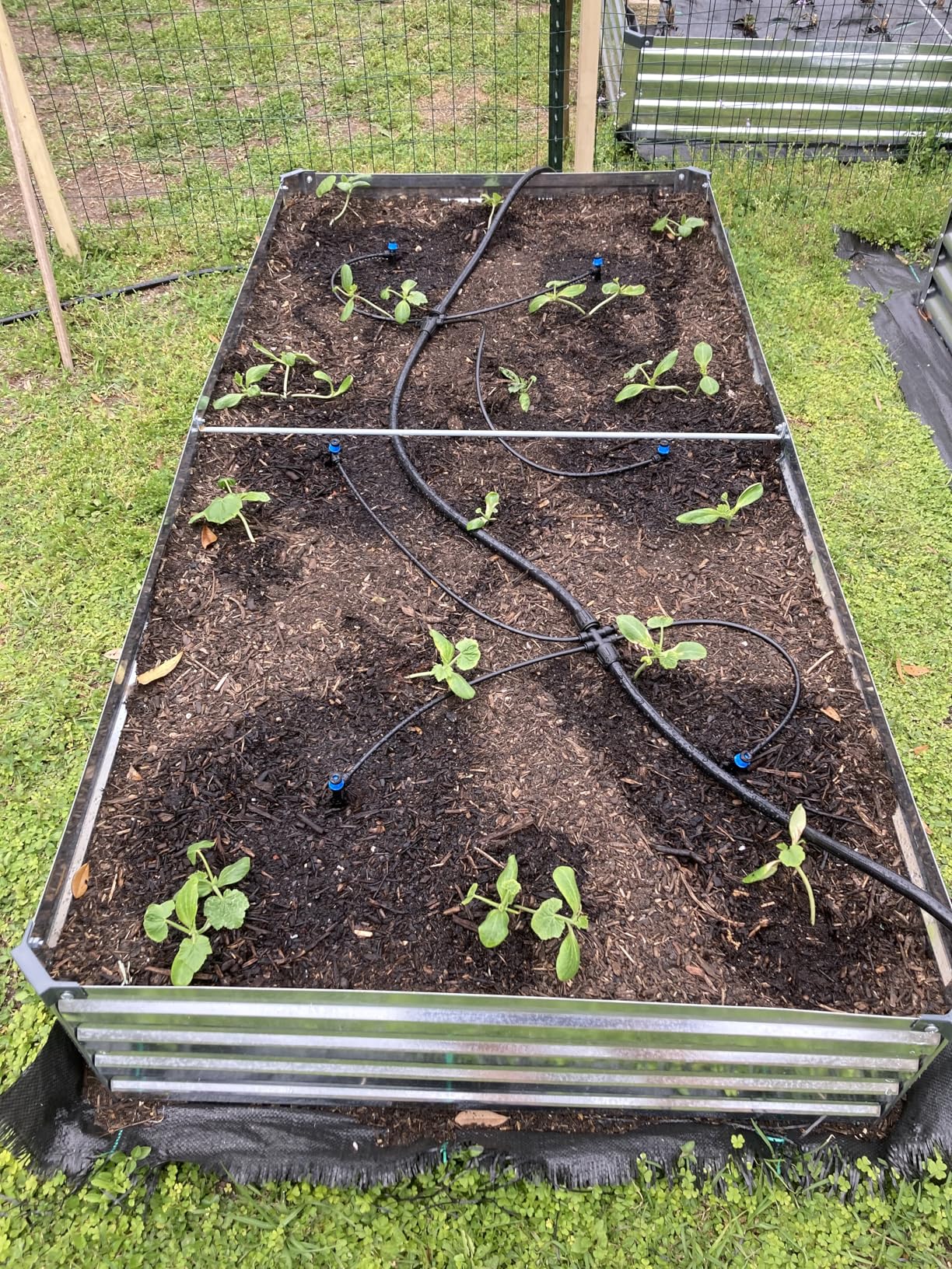 2 Pack 6x3x1FT Galvanized Raised Garden Beds Kit Outdoor Metal Gardening Planter Box for Vegetable Elevated Flower Herbs, Silver - Customer Photo 1