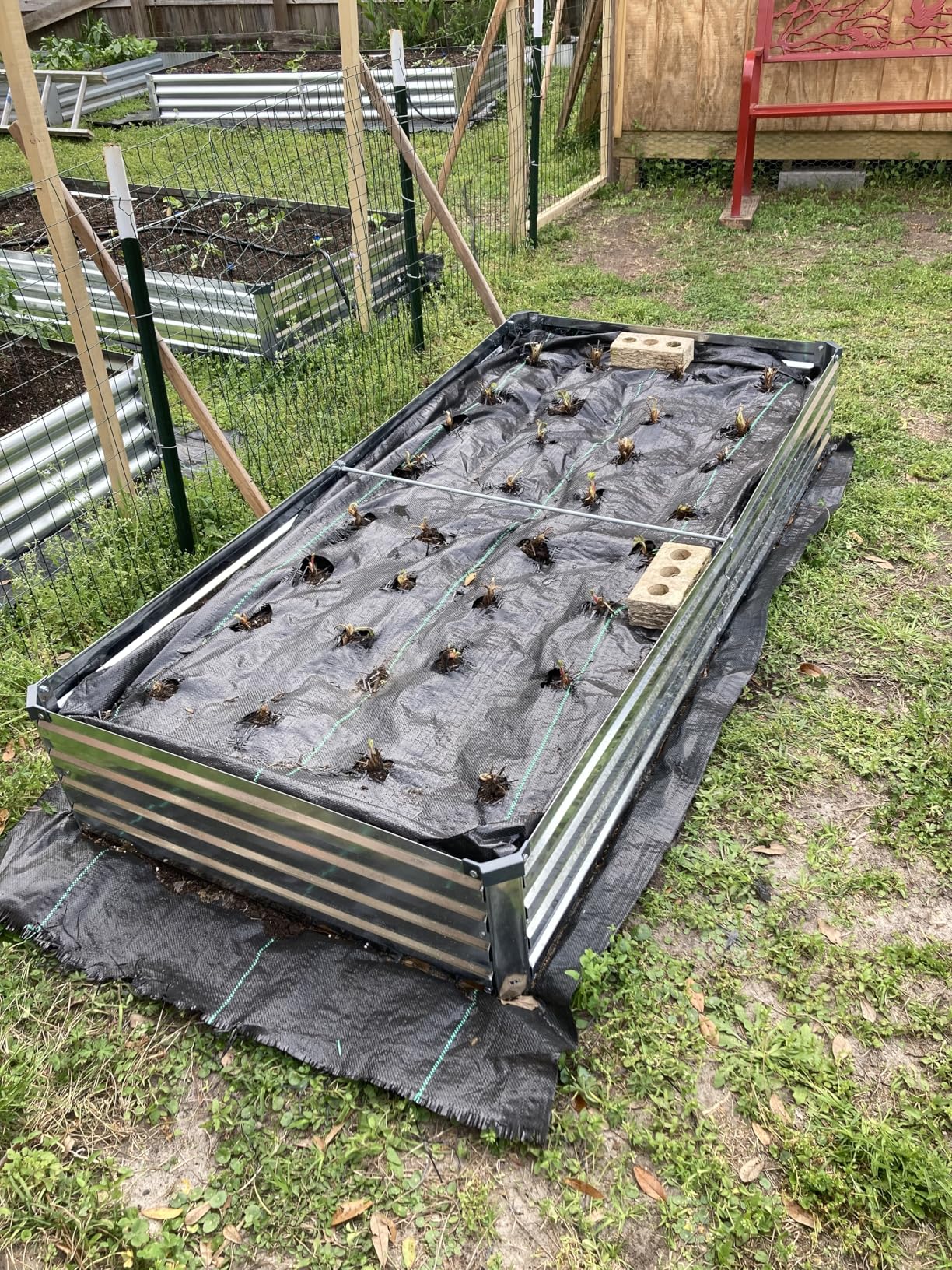 2 Pack 6x3x1FT Galvanized Raised Garden Beds Kit Outdoor Metal Gardening Planter Box for Vegetable Elevated Flower Herbs, Silver - Customer Photo 2