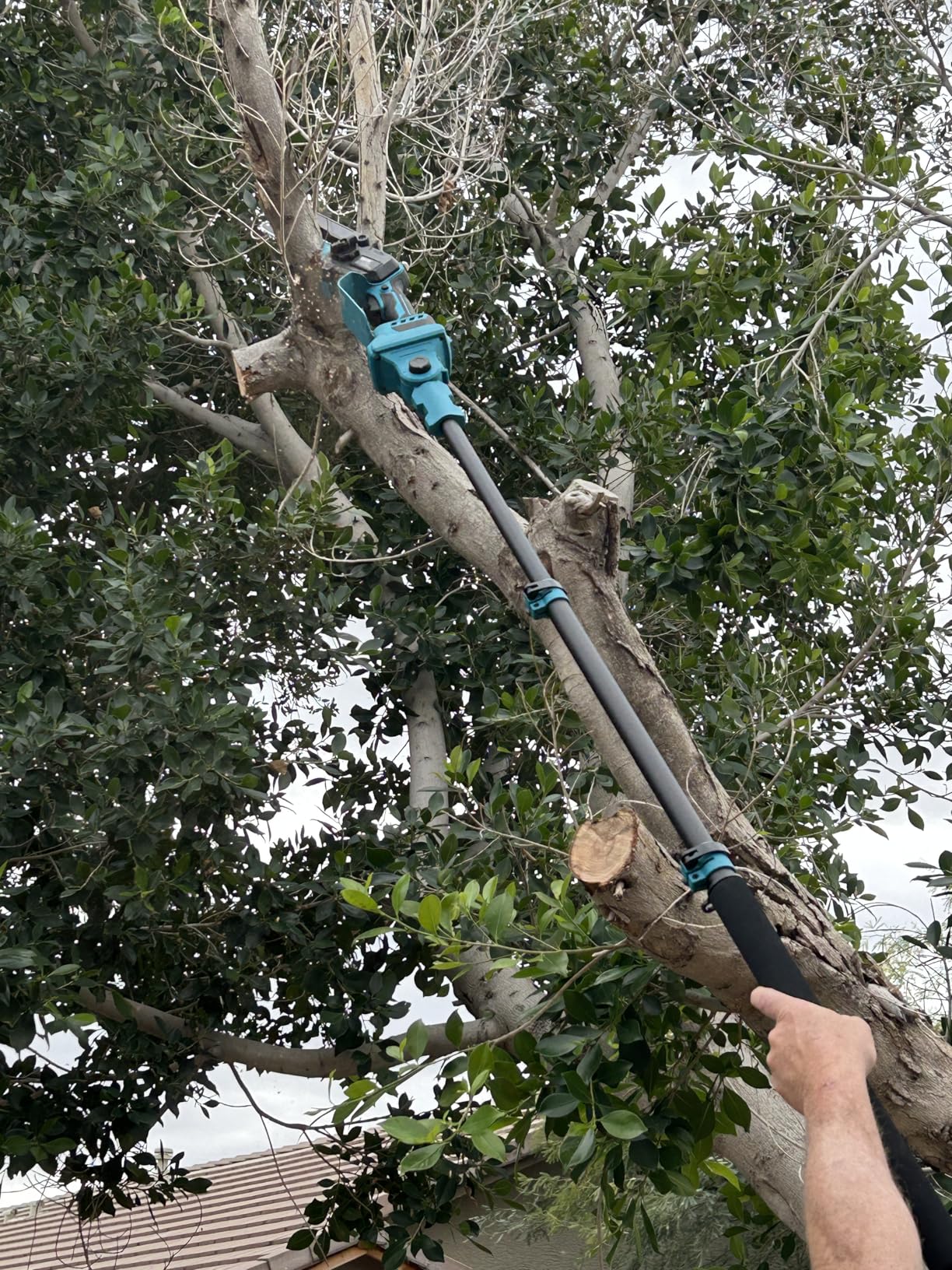 SEESII 2-in-1 Electric Pole Saws for Tree Trimming, 6 Inch Mini Chainsaw Cordless with Extension Pole, Battery Powered Pole Chain Saw, Tree Trimmer Limb Branch Cutter Pruner with 2 Battery PS600 - Customer Photo 1