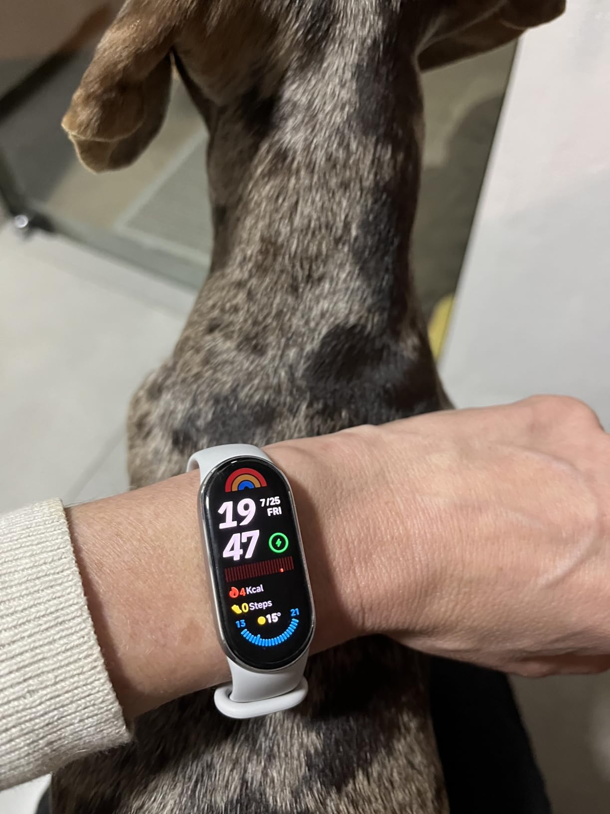 XIAOMI Smart Band 9 Global Version (2024) 1.62