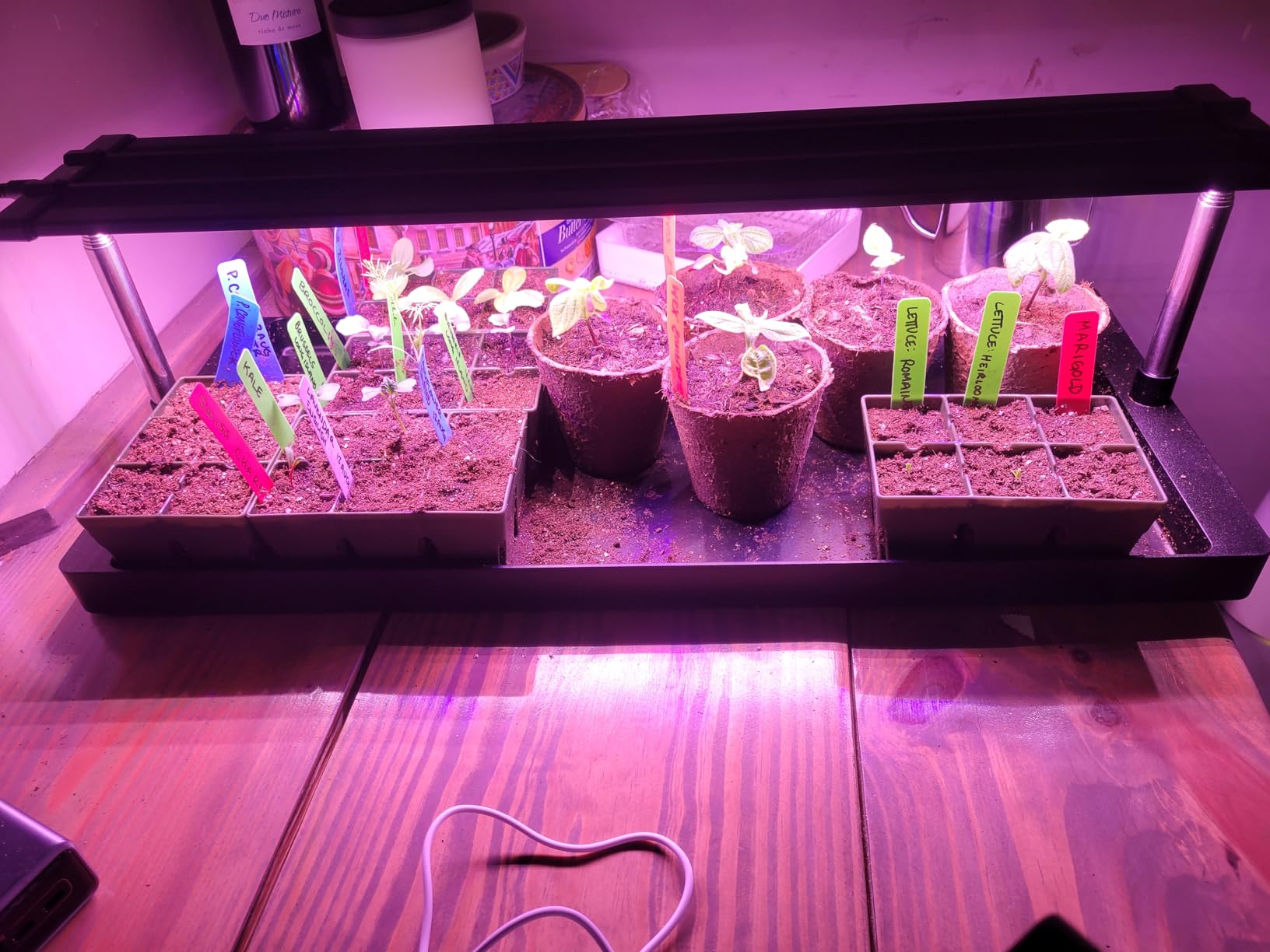 Epic Gardening Seed Starting Grow Light - Full-Spectrum LED with Adjustable Height & Integrated Tray for Indoor Seedlings | Energy-Efficient, Long-Lasting Light with Timer (Standard) - Customer Photo 1