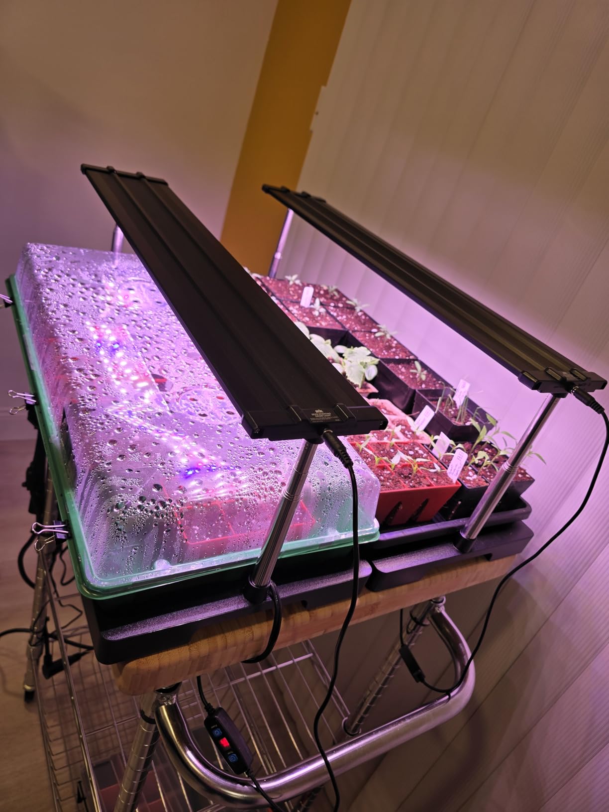 Epic Gardening Seed Starting Grow Light - Full-Spectrum LED with Adjustable Height & Integrated Tray for Indoor Seedlings | Energy-Efficient, Long-Lasting Light with Timer (Standard) - Customer Photo 2