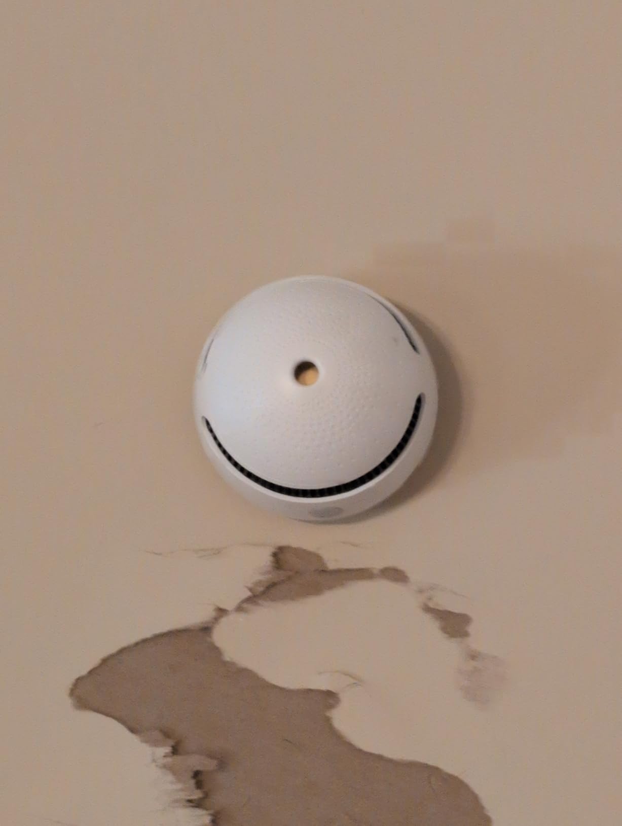 3-Pack Smart Smoke Detector,Wi-Fi Smoke Detector Fire Alarm with Smart Life App Notifications,10-Year Replaceable Battery,Mini Size for Home, RV - Customer Photo 2