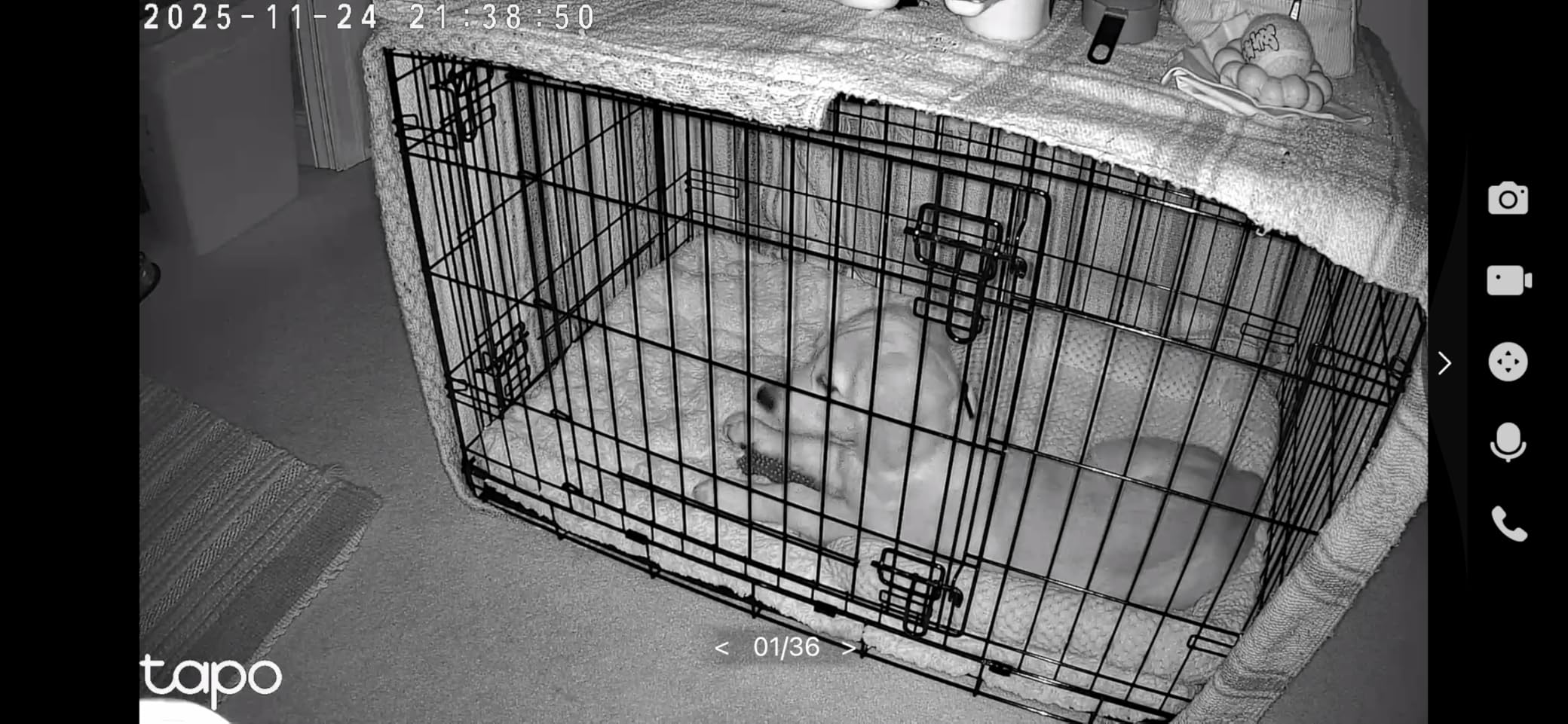 Tapo Pan/Tilt Security Camera for Baby Monitor, Pet Camera w/Motion Detection, 1080P, 2-Way Audio, Night Vision, Cloud & SD Card Storage, Works with Alexa & Google Home, Black (Tapo C201) Customer Review Tapo Pan/Tilt Security Camera for Baby Monitor, Pet Camera w/Motion Detection, 1080P, 2-Way Audio, Night Vision, Cloud & SD Card Storage, Works with Alexa & Google Home, Black (Tapo C201) - Customer Photo 1