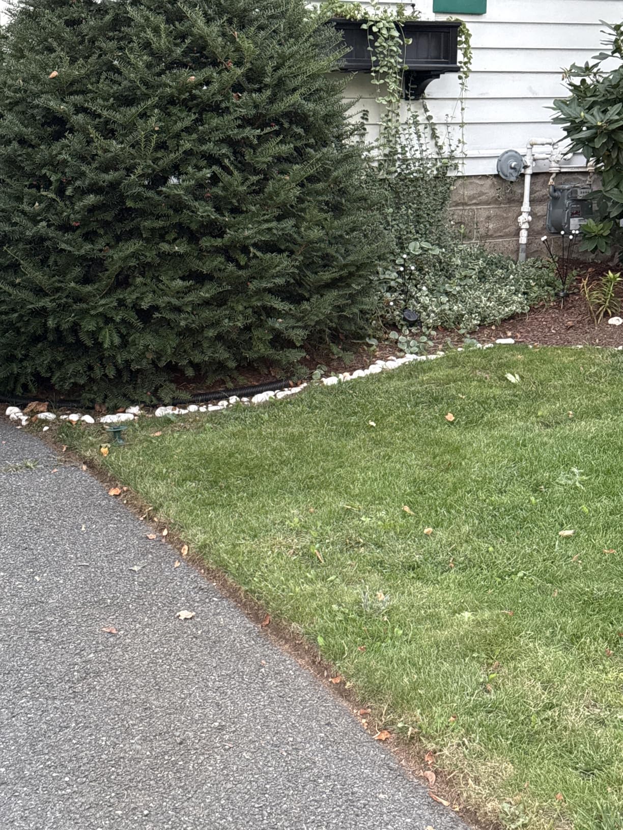 Greenworks Lawn Striping System (Compatible with All Greenworks 16