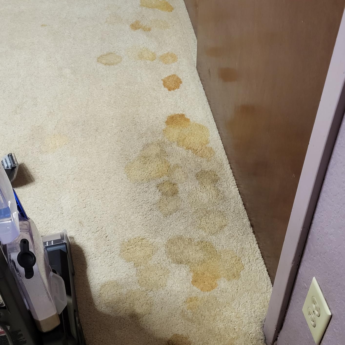 BISSELL TurboClean, Upright Carpet Cleaner, Pro Max Clean & Protect + Oxy Urine Eliminator Formula Included, 3952 Customer Review BISSELL TurboClean, Upright Carpet Cleaner, Pro Max Clean & Protect + Oxy Urine Eliminator Formula Included, 3952 - Customer Photo 2