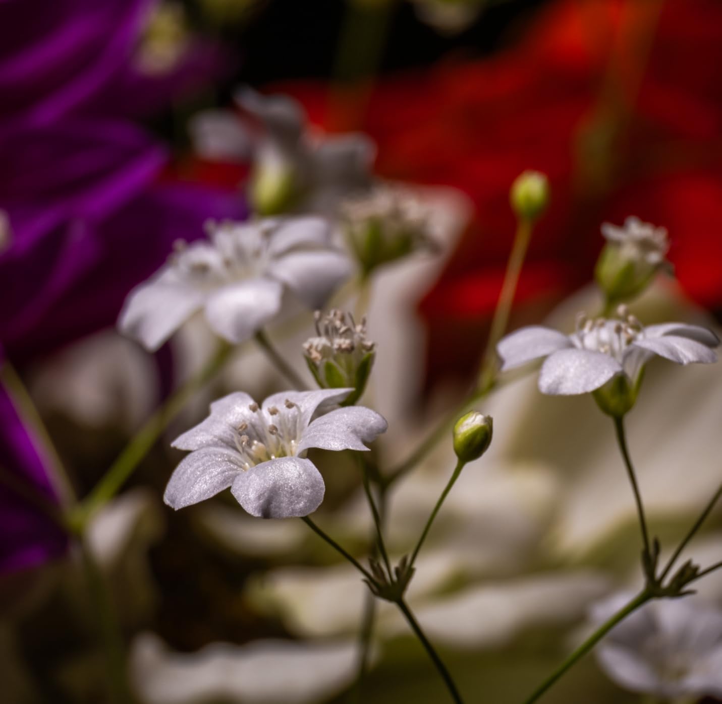 Godox LP600Bi Led Video Light Panel Light with Barndoor, 2-Pack Bi-Color 2800K~6500K 65W Soft Lights with Light Stand, APP Control CRI96+ 9020Lux LED Customer Review Godox LP600Bi Led Video Light Panel Light with Barndoor, 2-Pack Bi-Color 2800K~6500K 65W Soft Lights with Light Stand, APP Control CRI96+ 9020Lux LED - Customer Photo 2