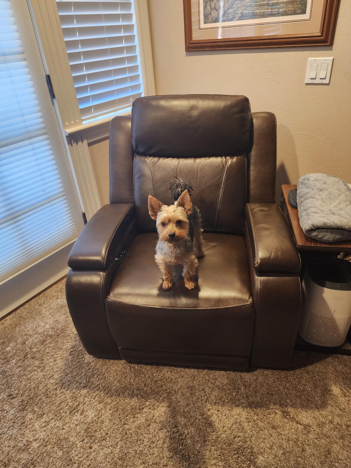Watson & Whitely Genuine Leather Power Recliner Chairs for Adults, Zero Gravity Recliner with Power Headrest & Hidden Storage, Electric Reclining Sofa Chair for Living Room, Home Office, Dark Brown - Customer Photo 1