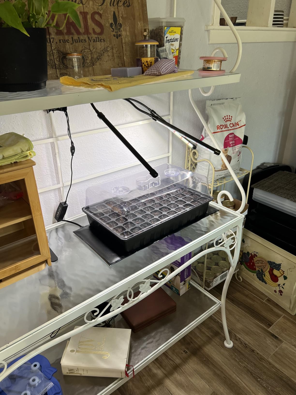 SOLIGT 60 Cell Seed Starter Kit with Grow Light and Heat Mat, Seed Starter Tray with Higher 4.3