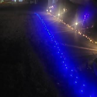 Brightown 60 LED Flower Solar String Lights Outdoor Waterproof Fairy Lights for Garden Yard Fence Patio Christmas Tree Wedding Party Decor, Multicolor - Customer Photo 1